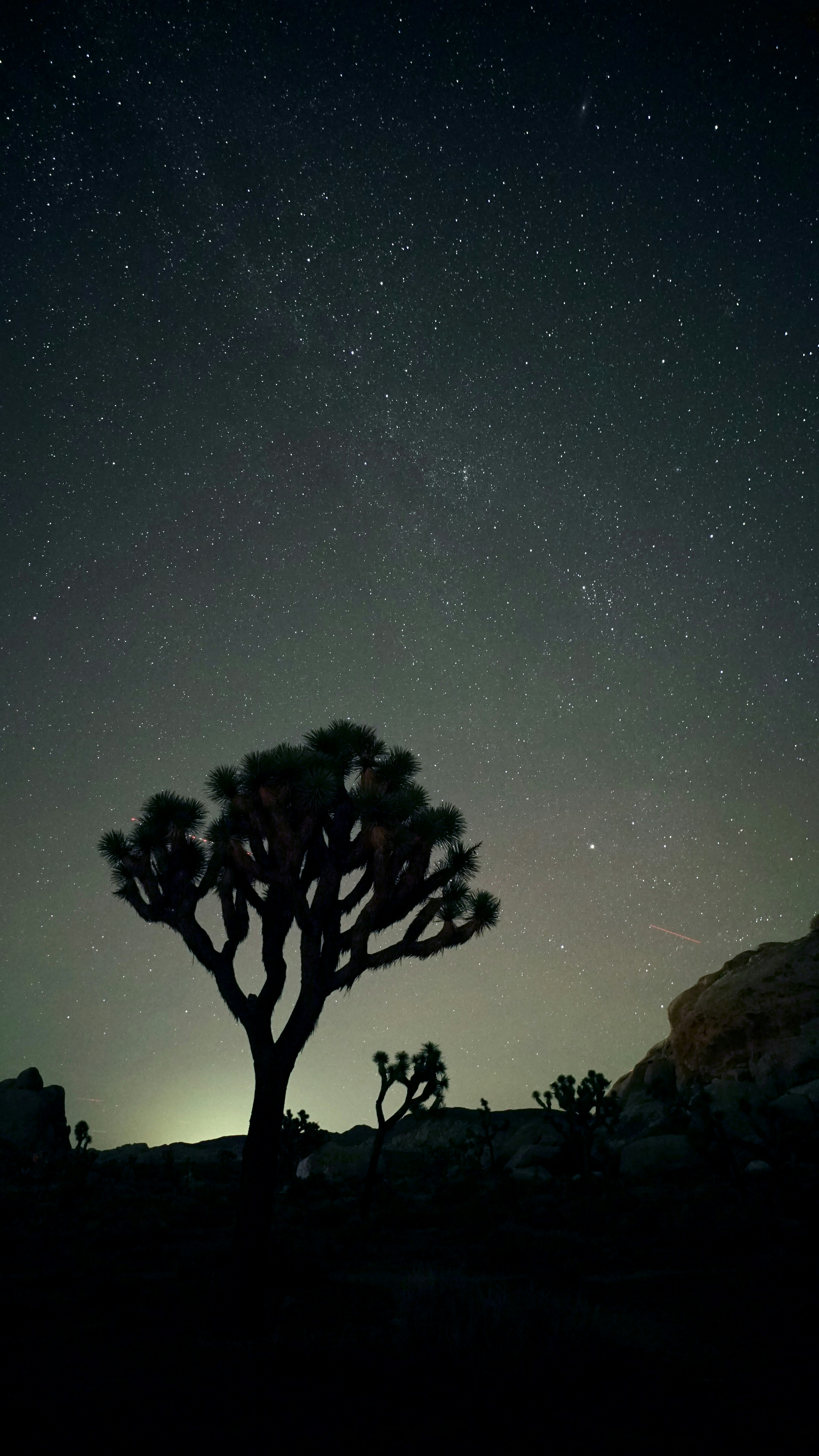 Photo by shawn_appel