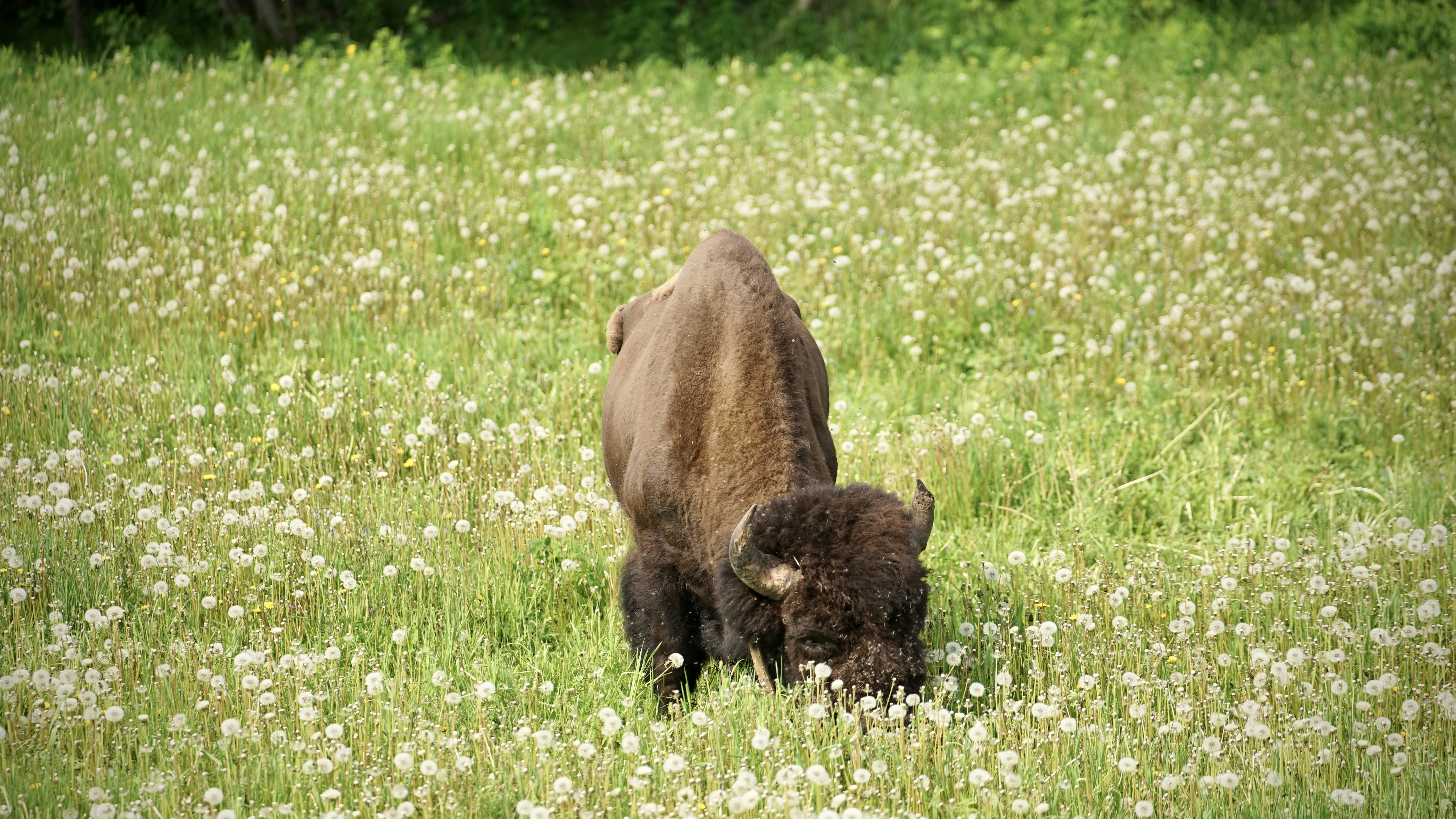 Photo by shawn_appel