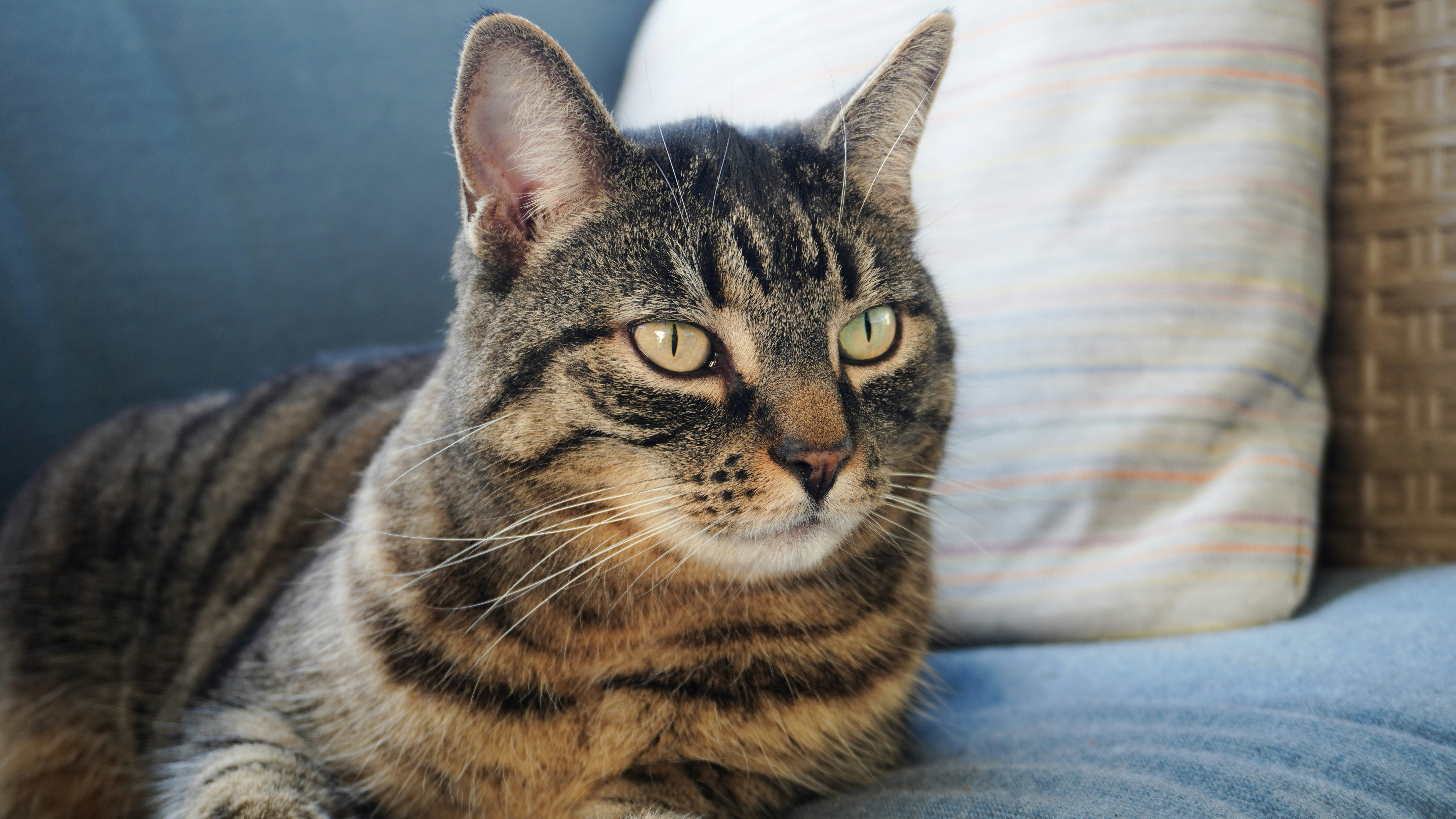 Photo by thekightkeeper1