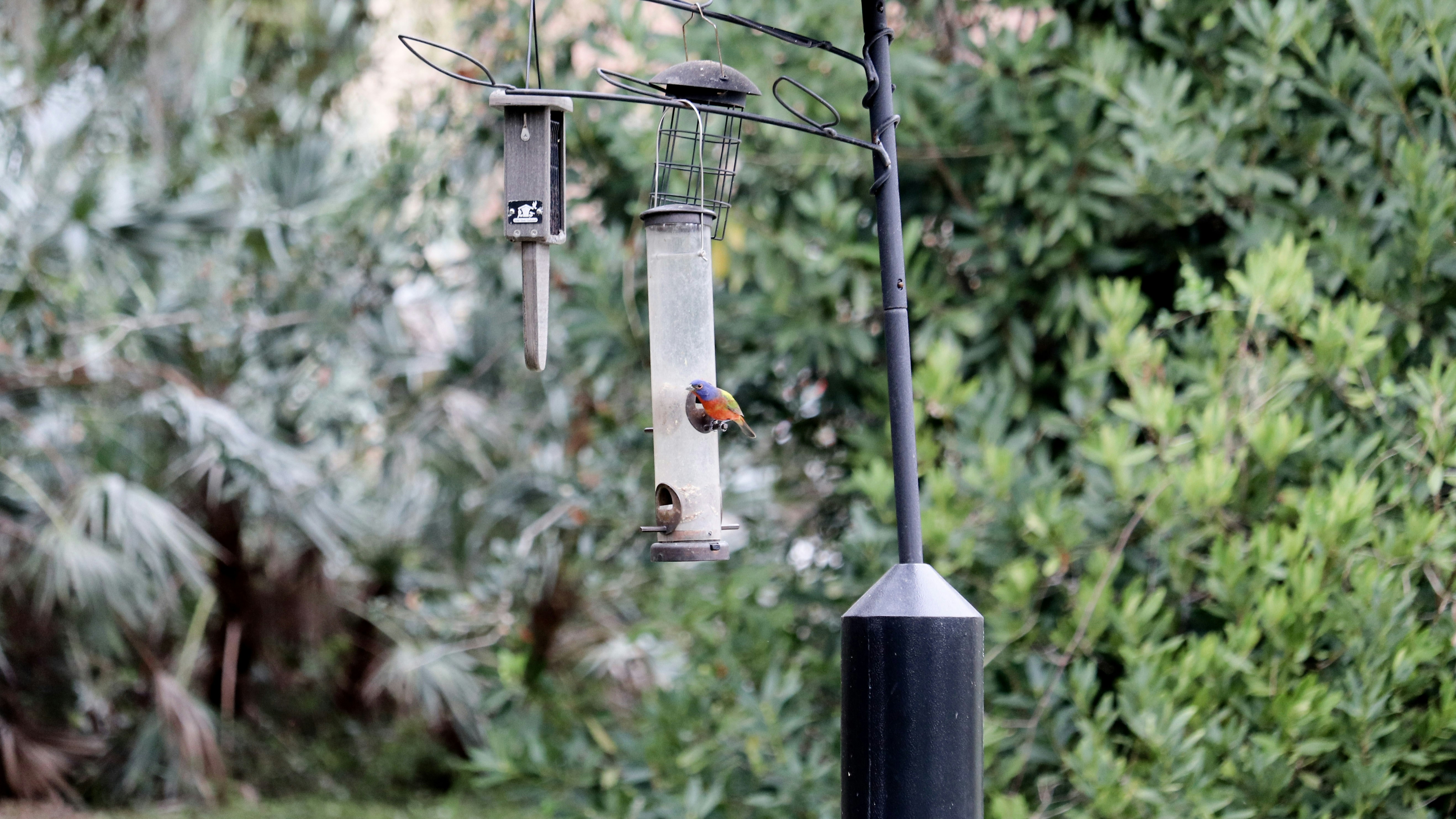 Spartan ATSB outdoor mosquito bait stations