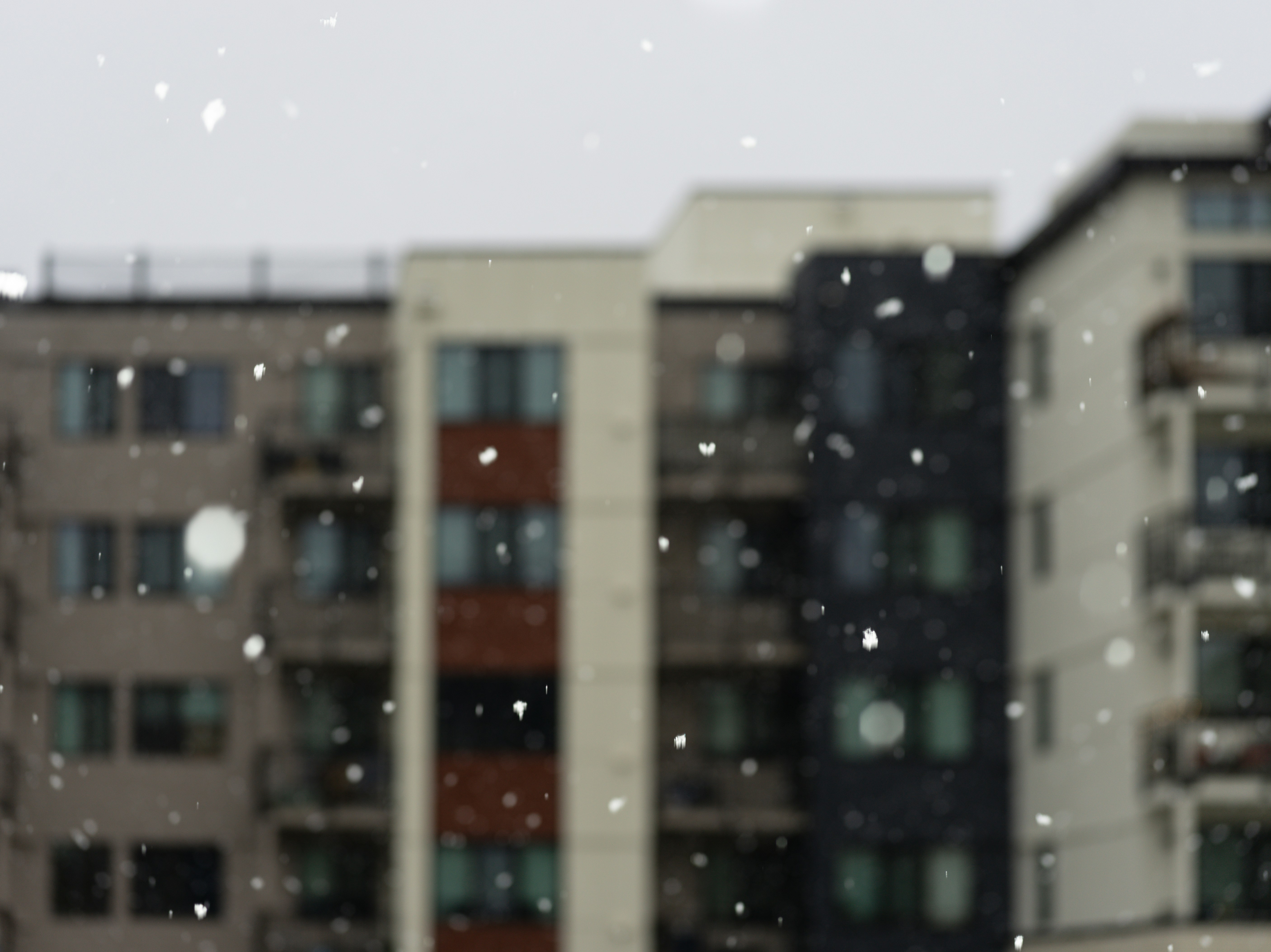 Photo by kierinsightarchives