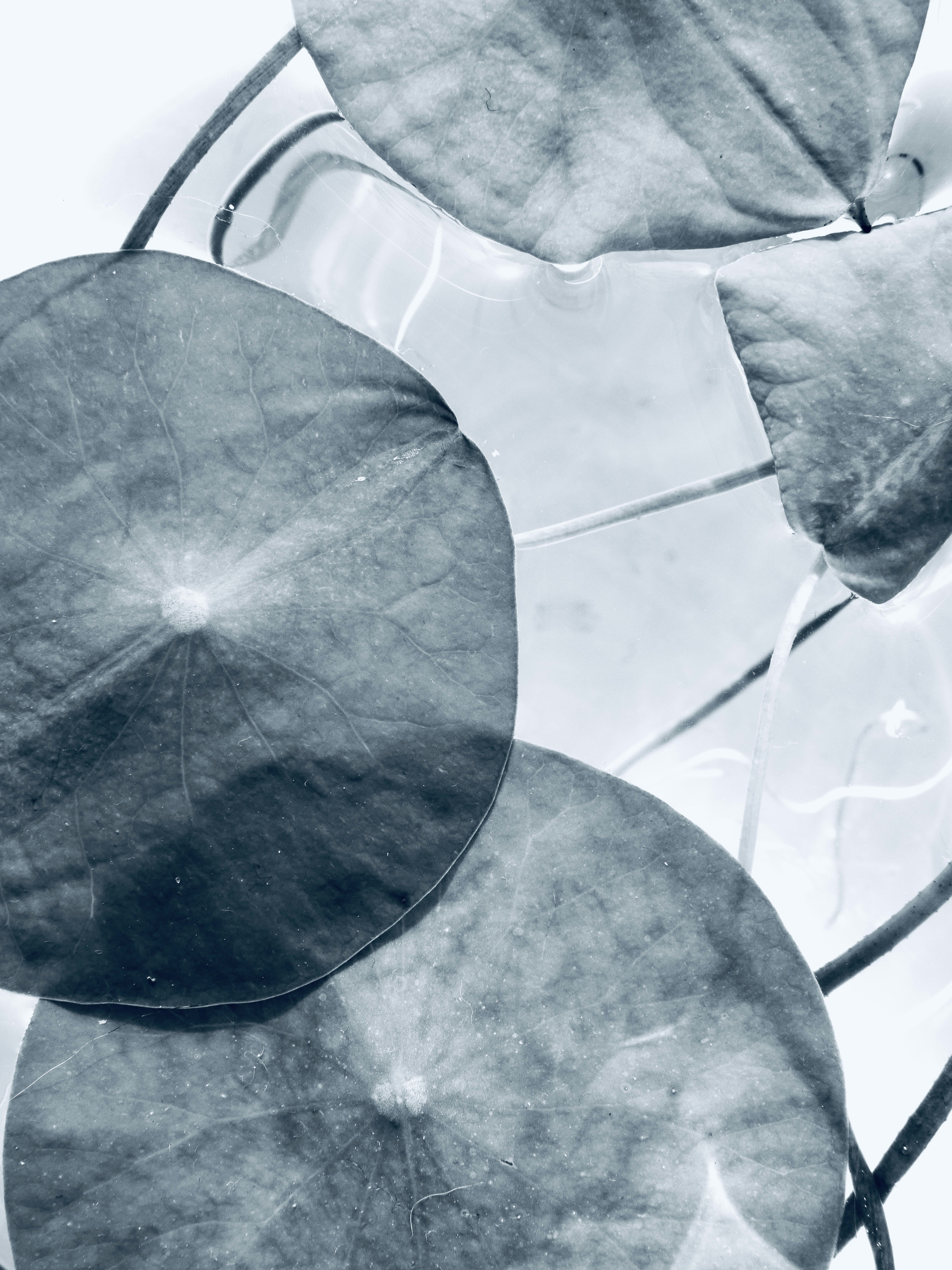 Photo by sschusterphotoart