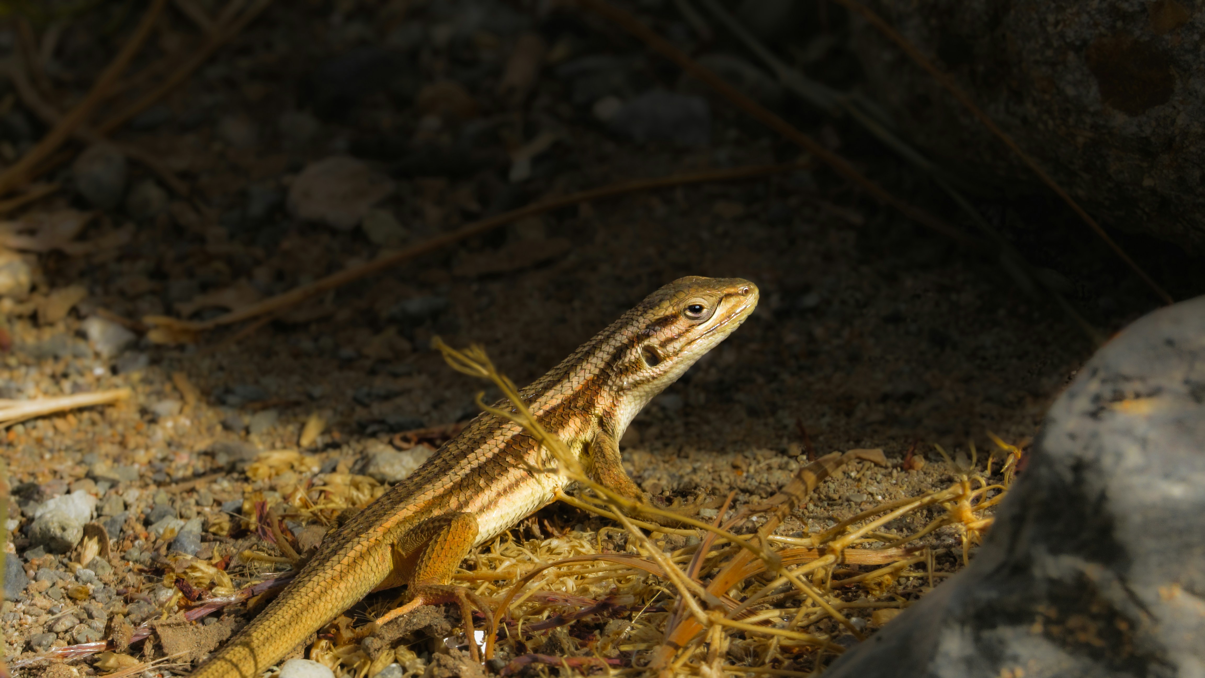 Photo by framedmomentslab