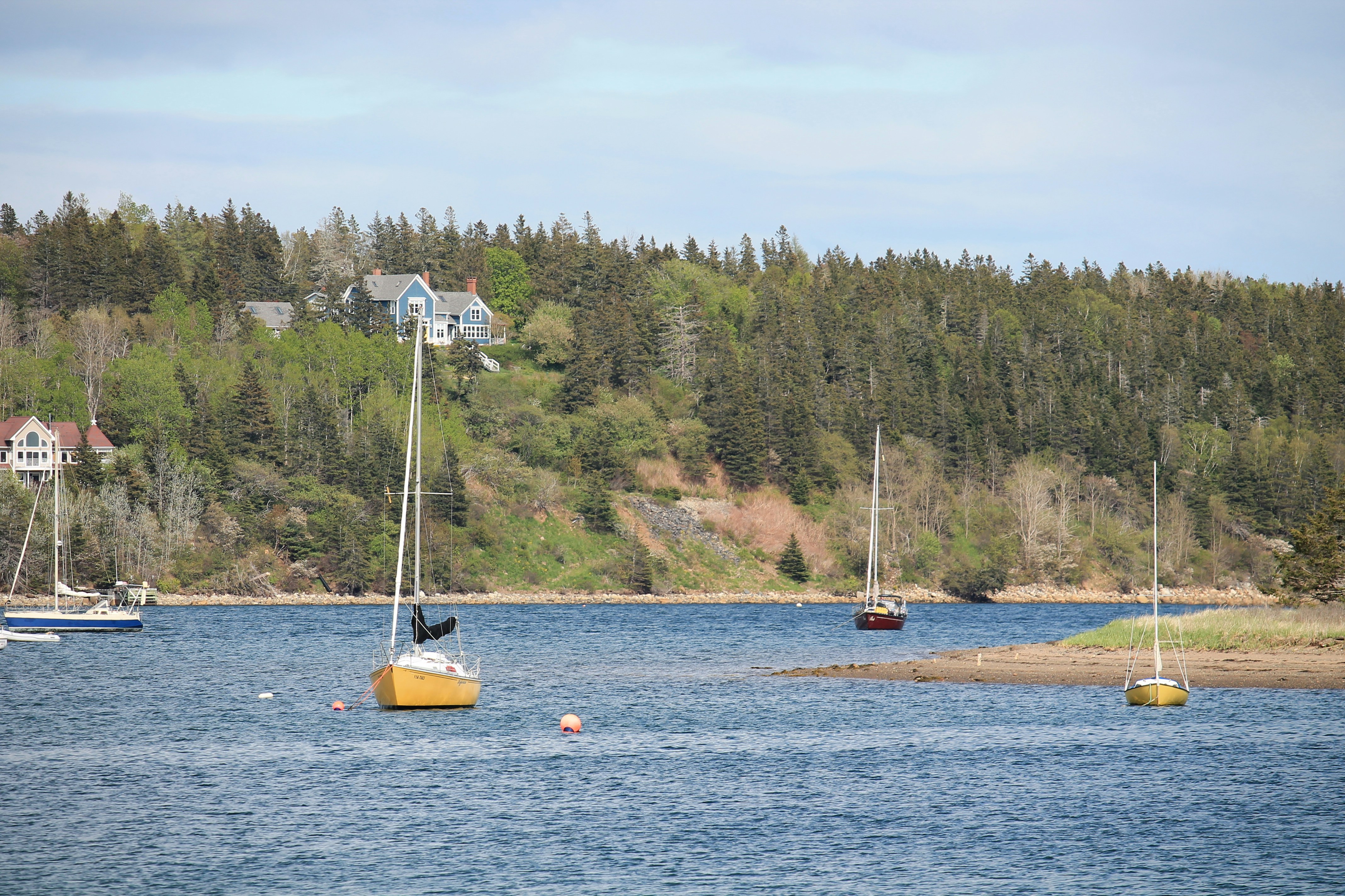 Sailboats moored in a calm bay with wooded hills.