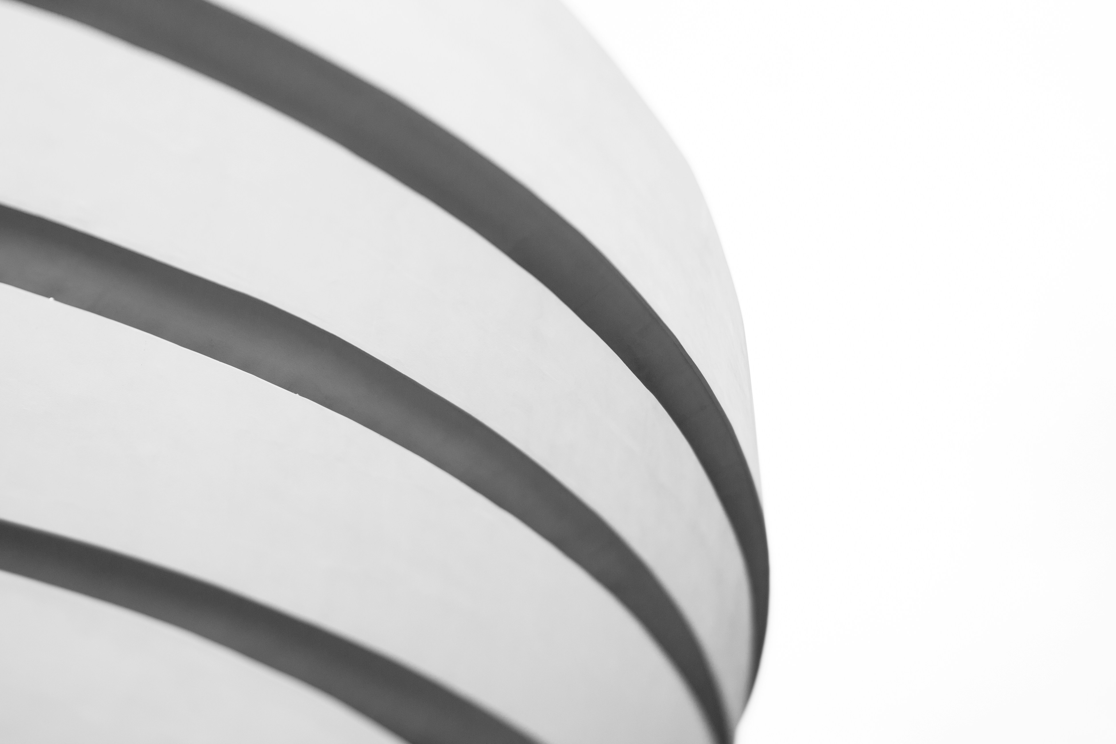 Photo by littlecamerathing