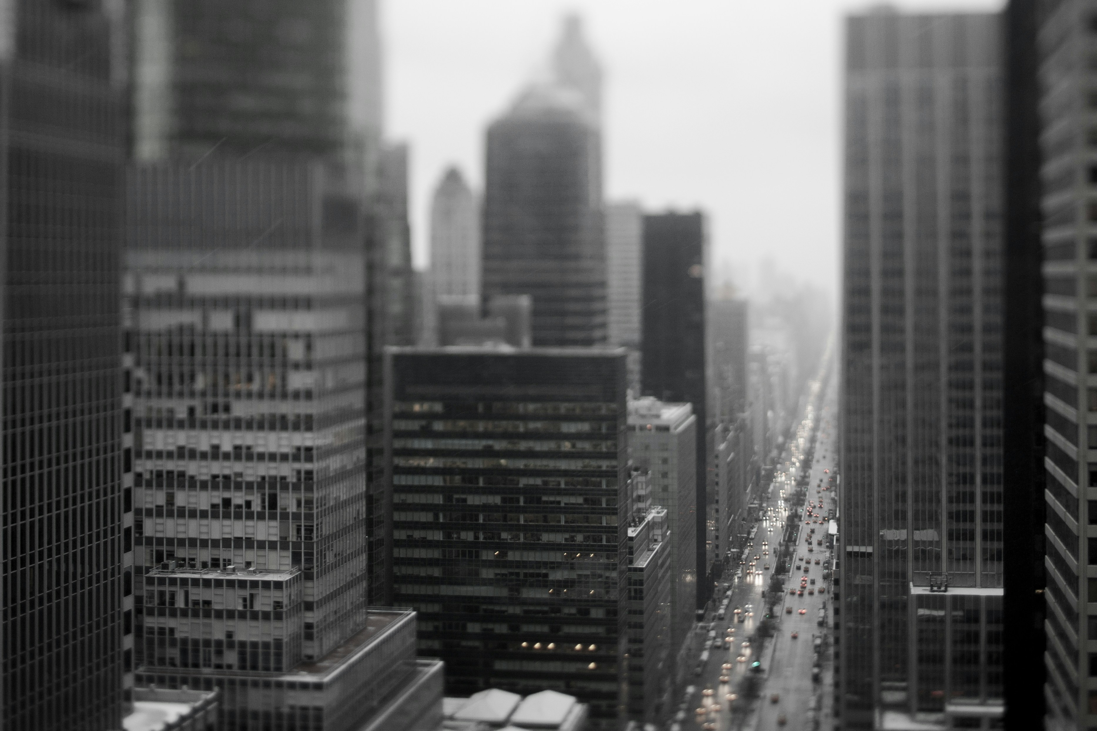 Photo by littlecamerathing