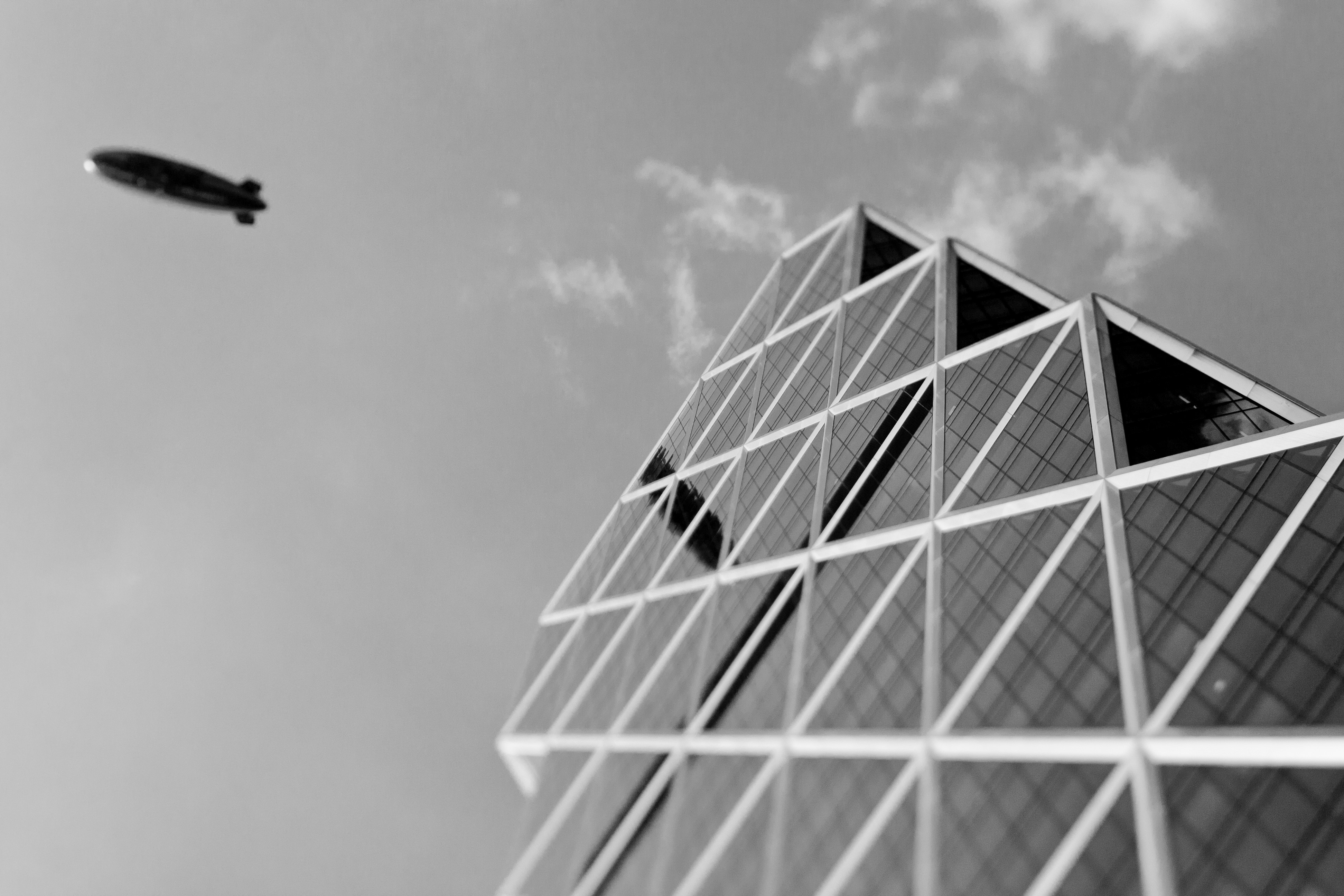 Photo by littlecamerathing