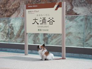 Hakone