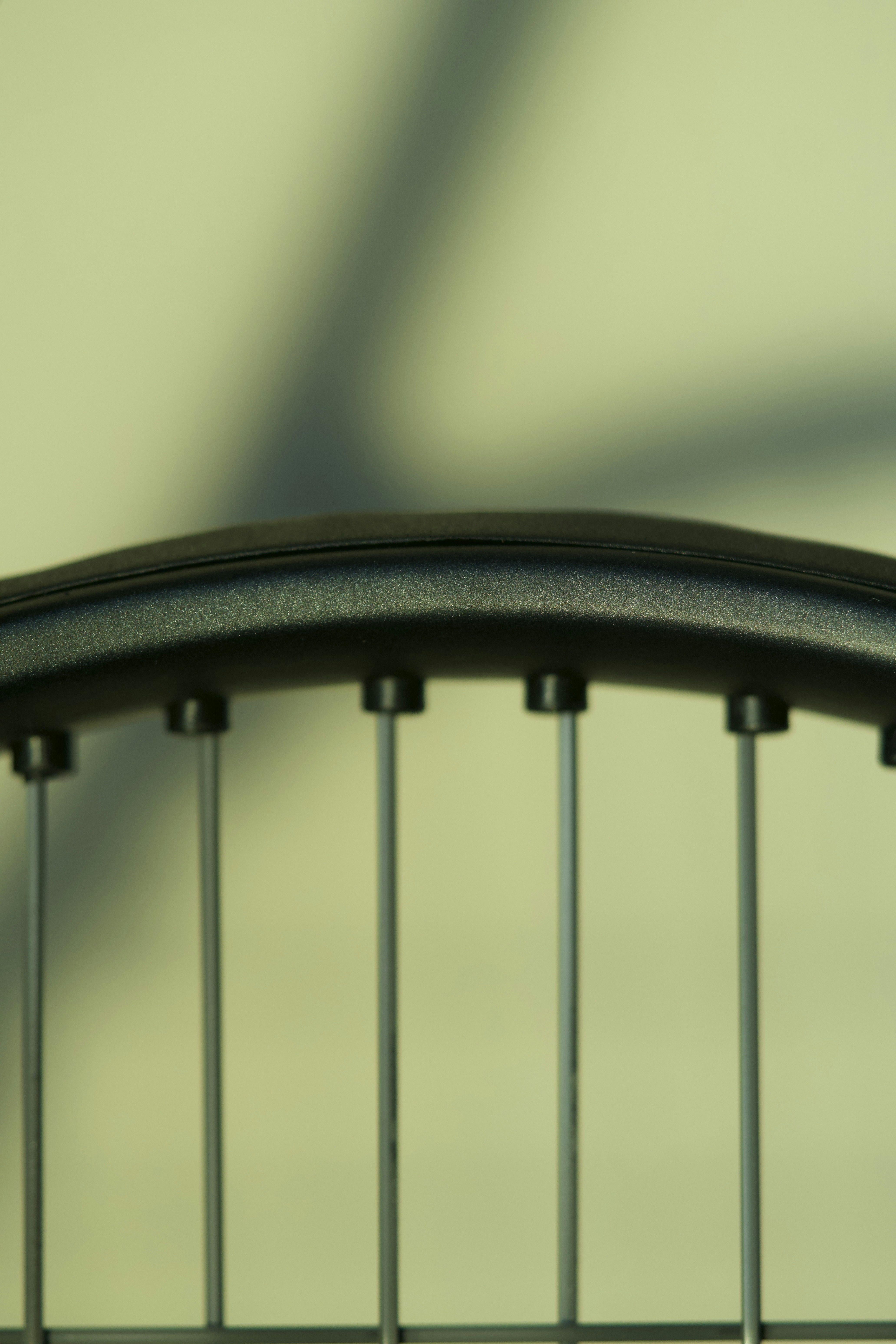 Photo by muscateer777