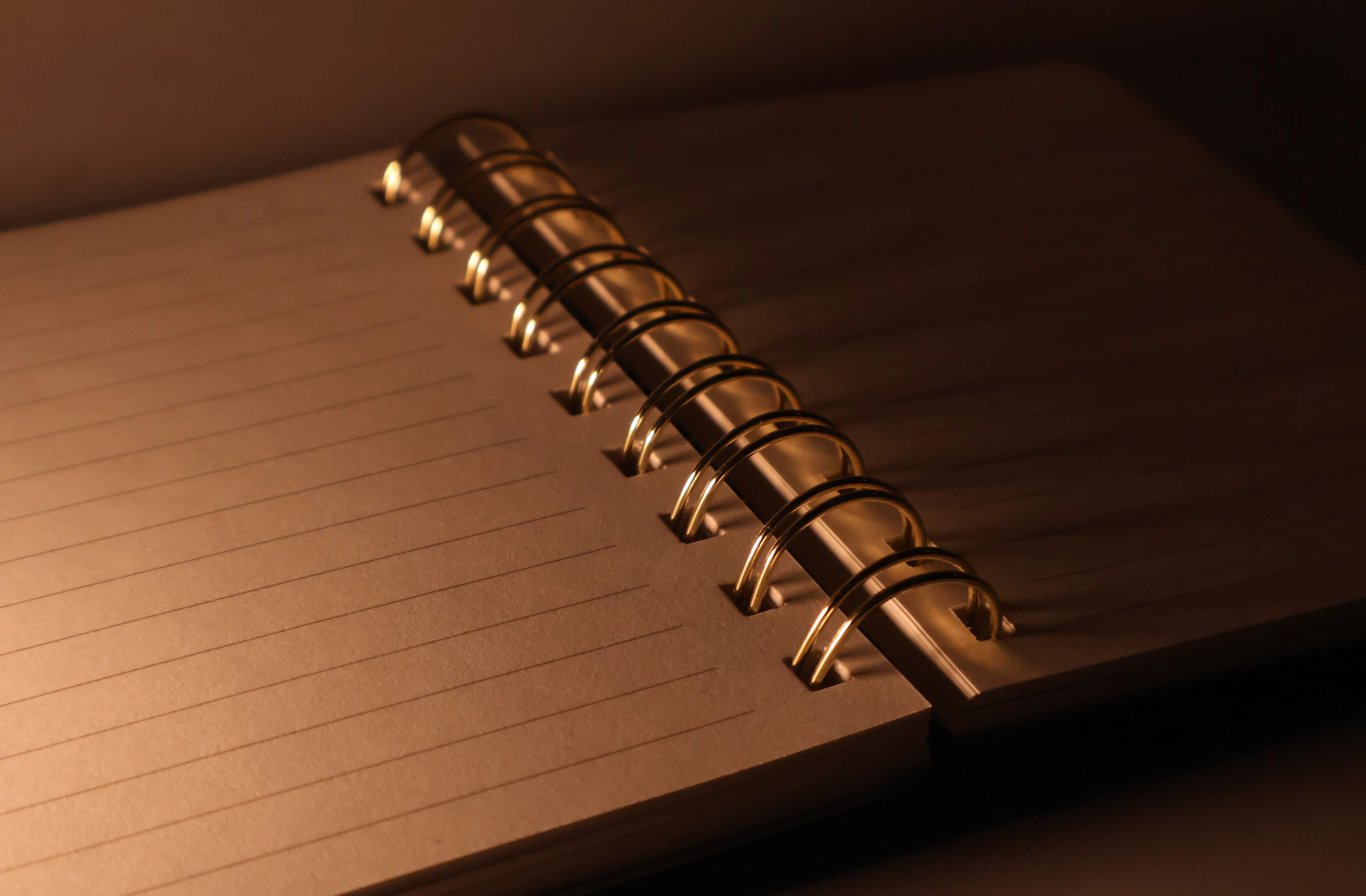 Close-up of an open spiral notebook with lined paper