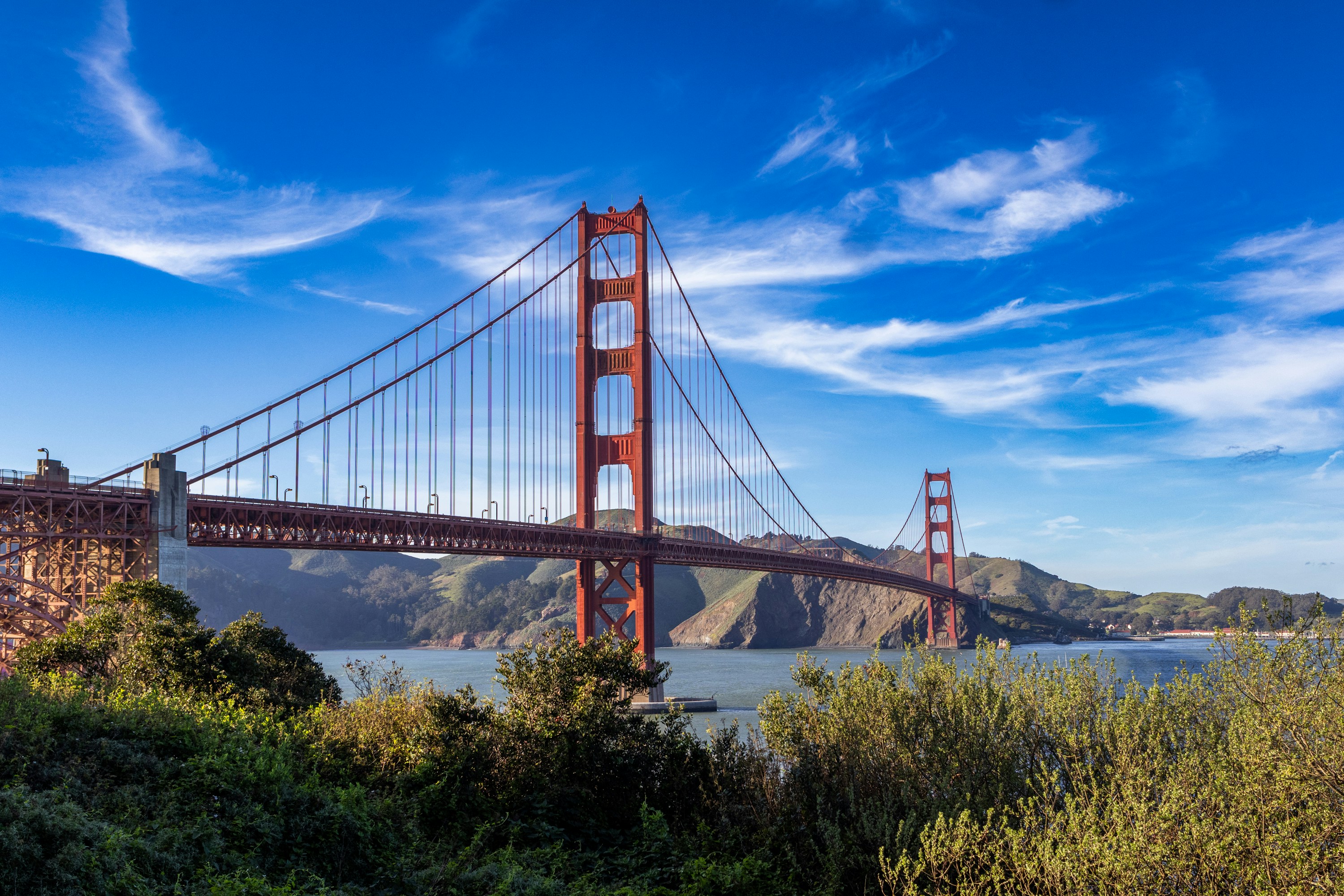 Photo by wilsonsharpshots