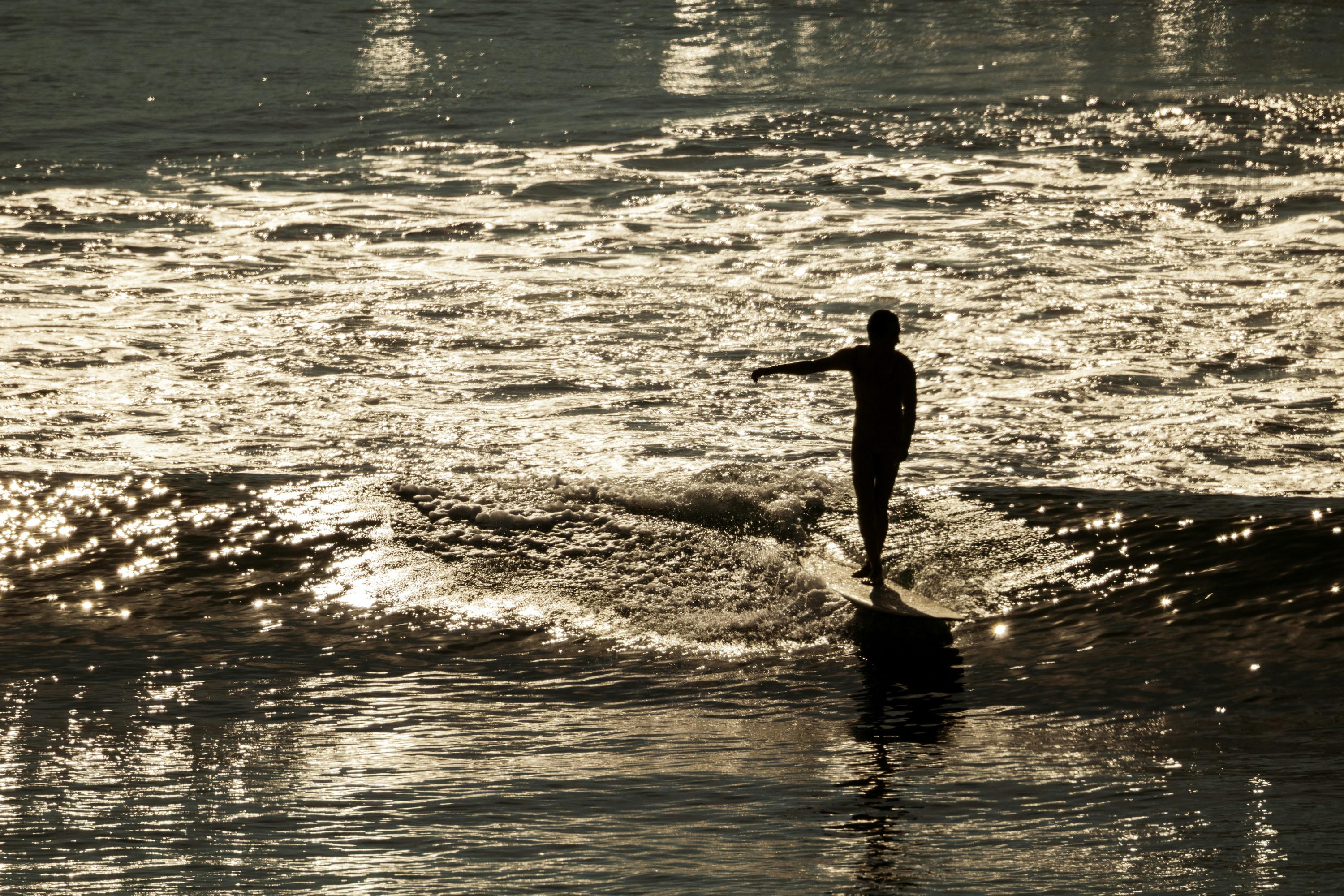 Photo by wilsonsharpshots