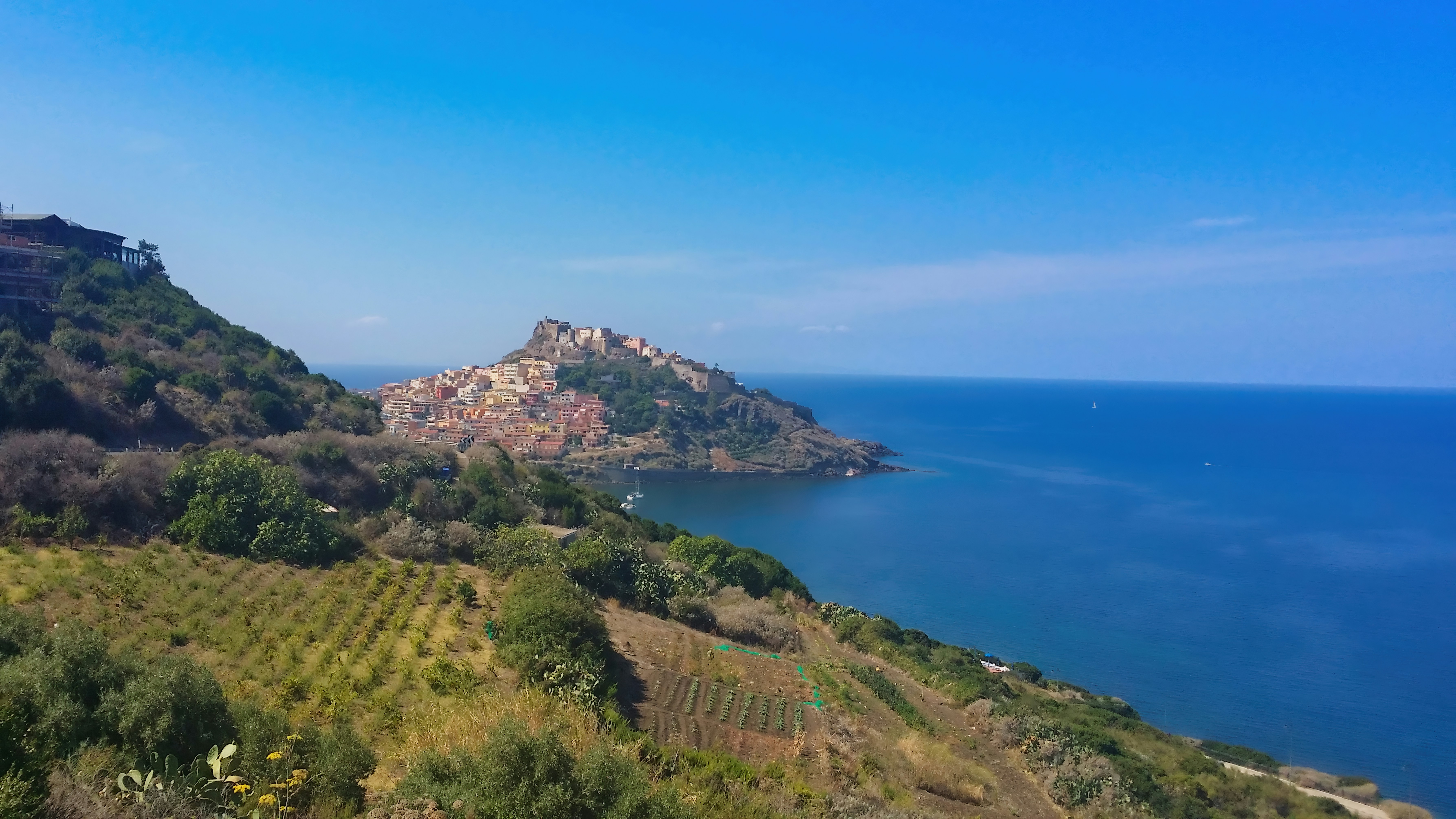 vigneto uliveto Calabria mare
