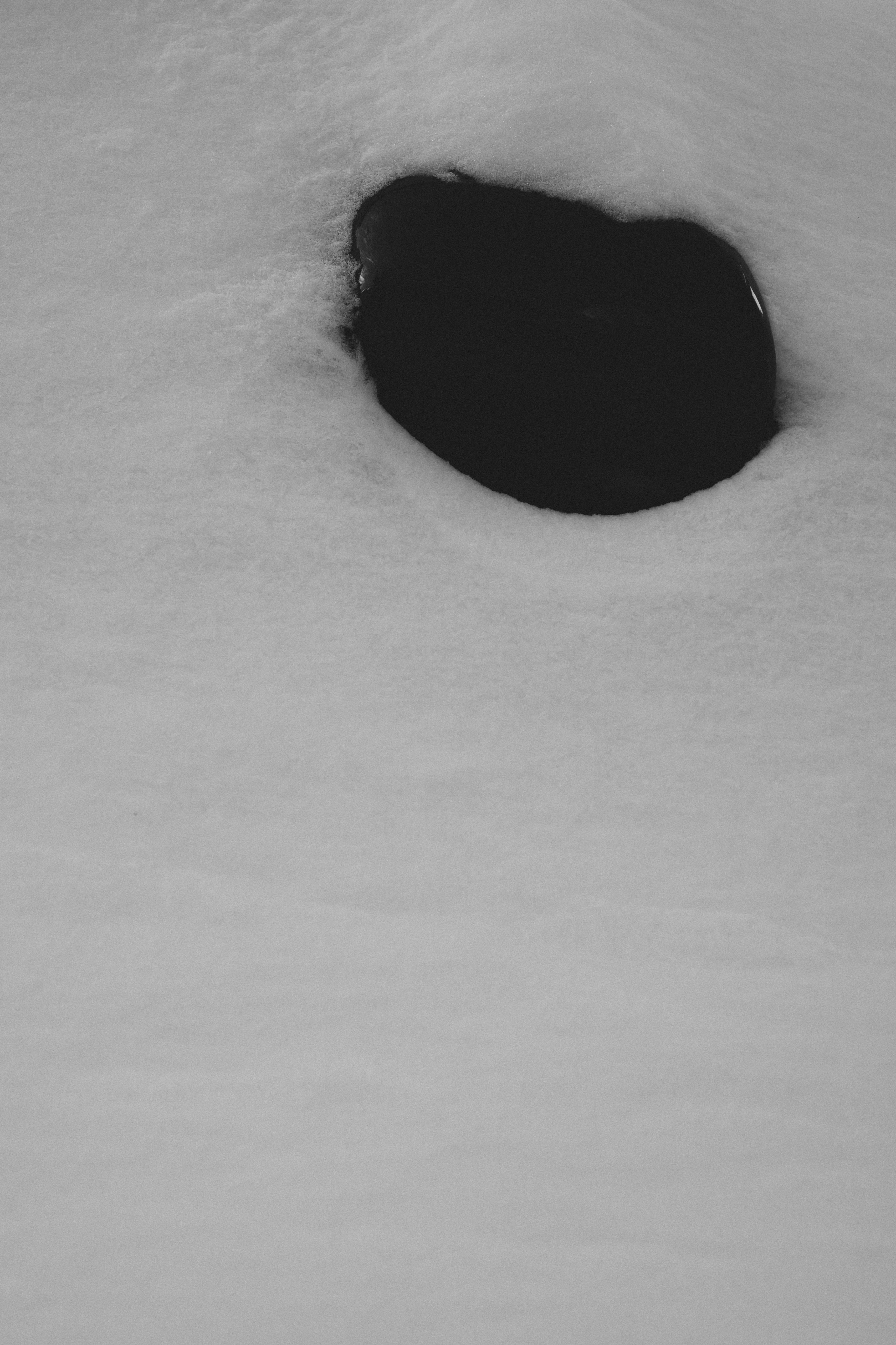 A dark puddle in the snow