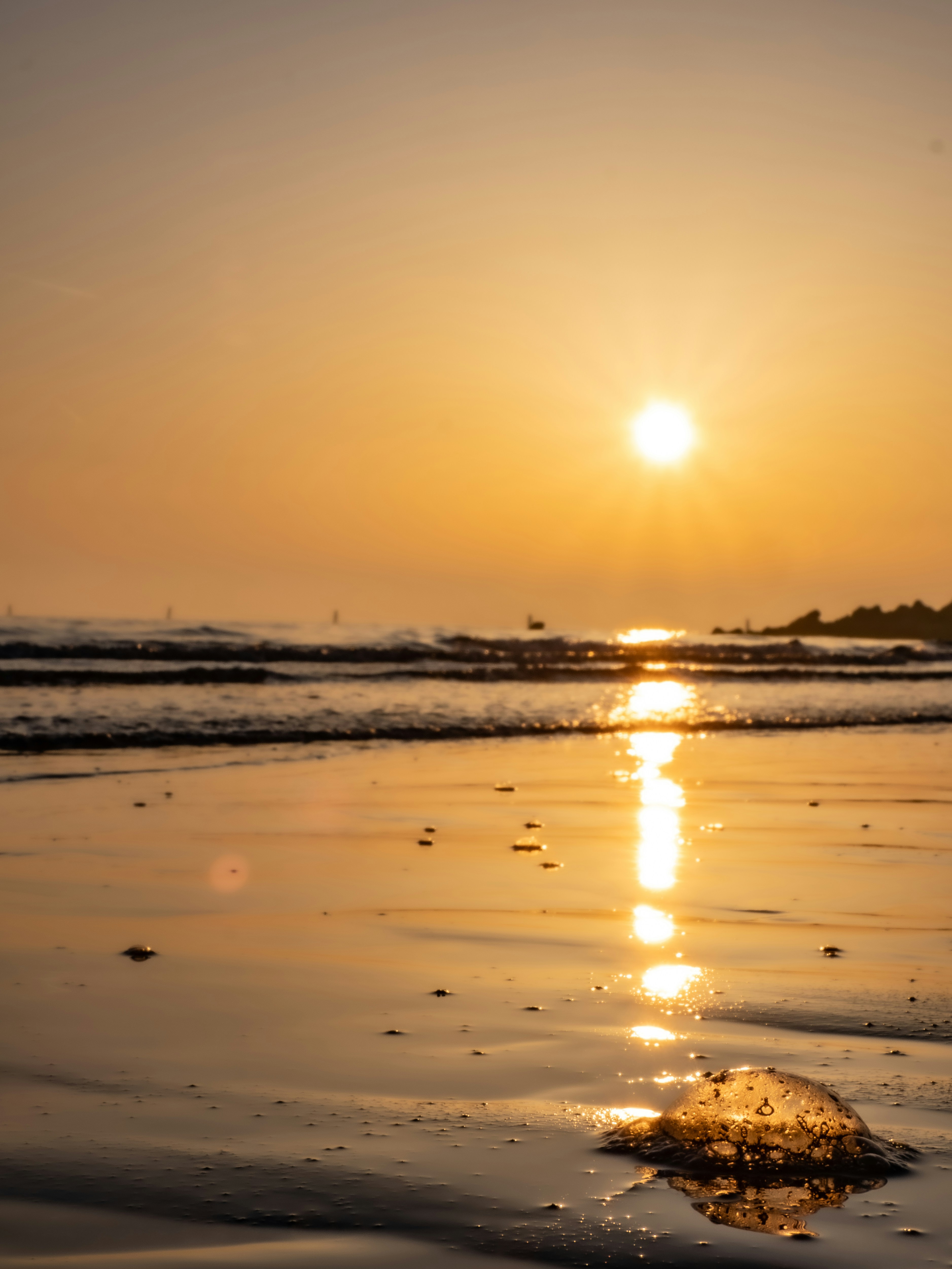 Photo by gopitri_prem