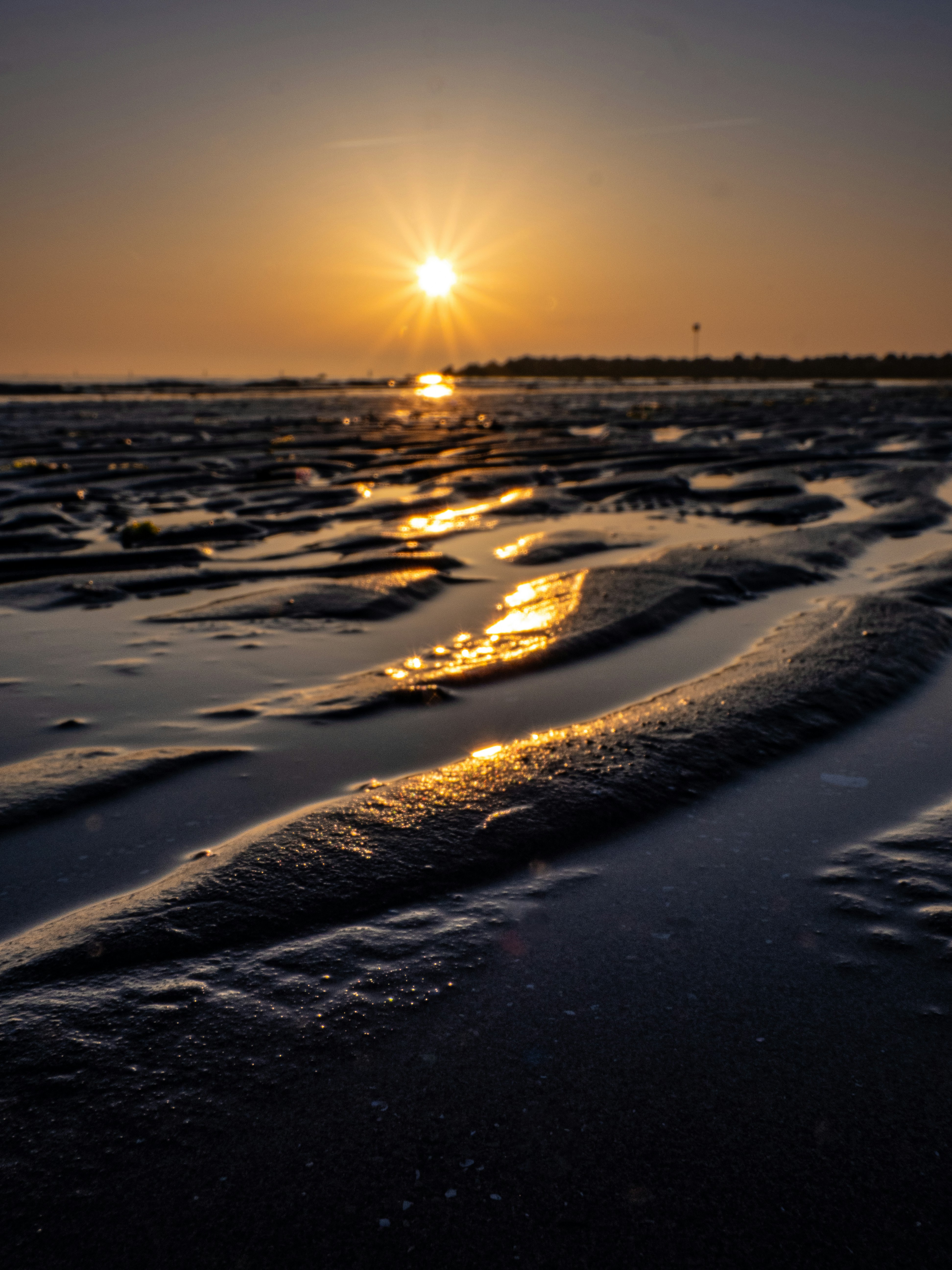 Photo by gopitri_prem