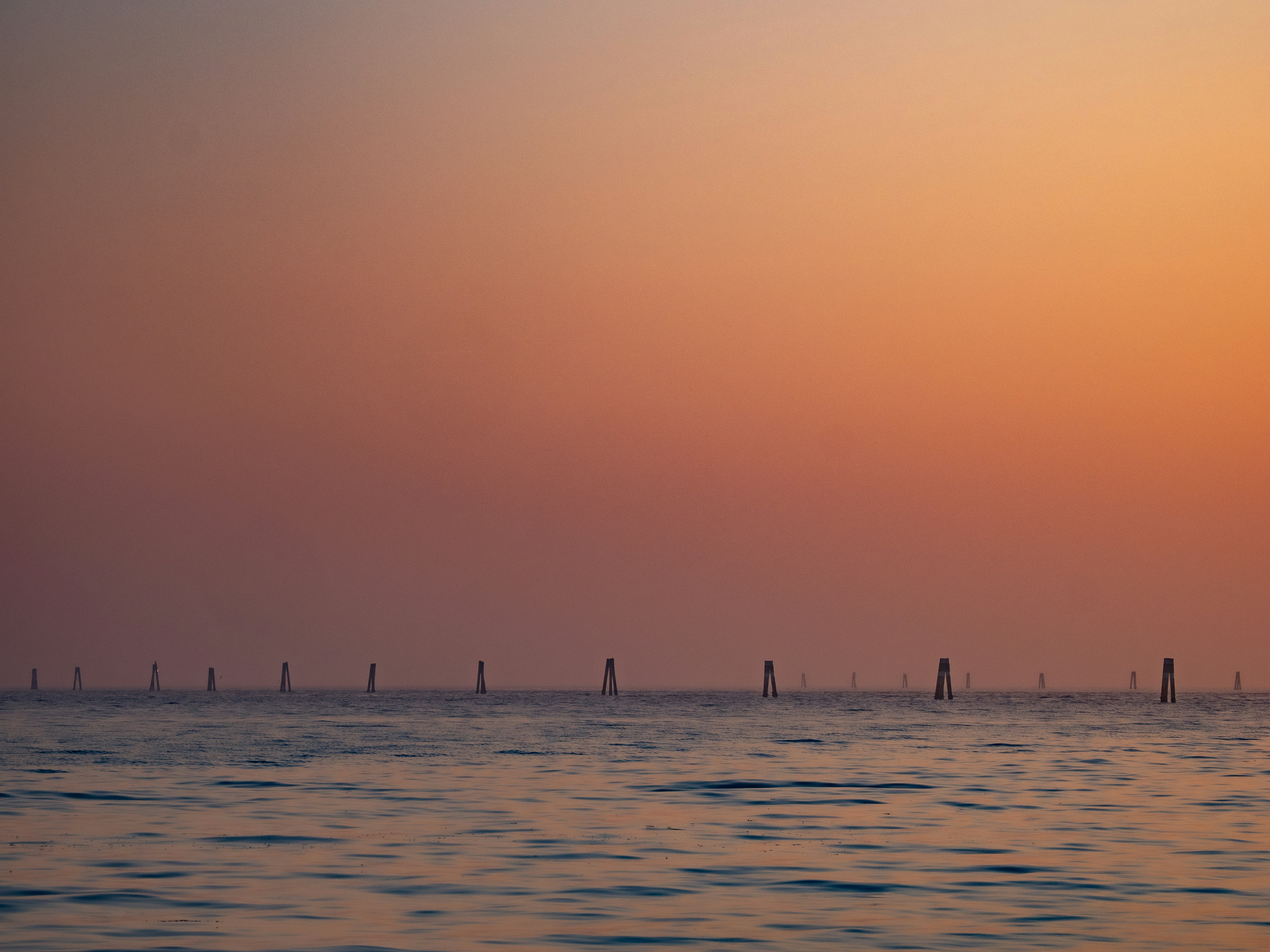 Photo by gopitri_prem