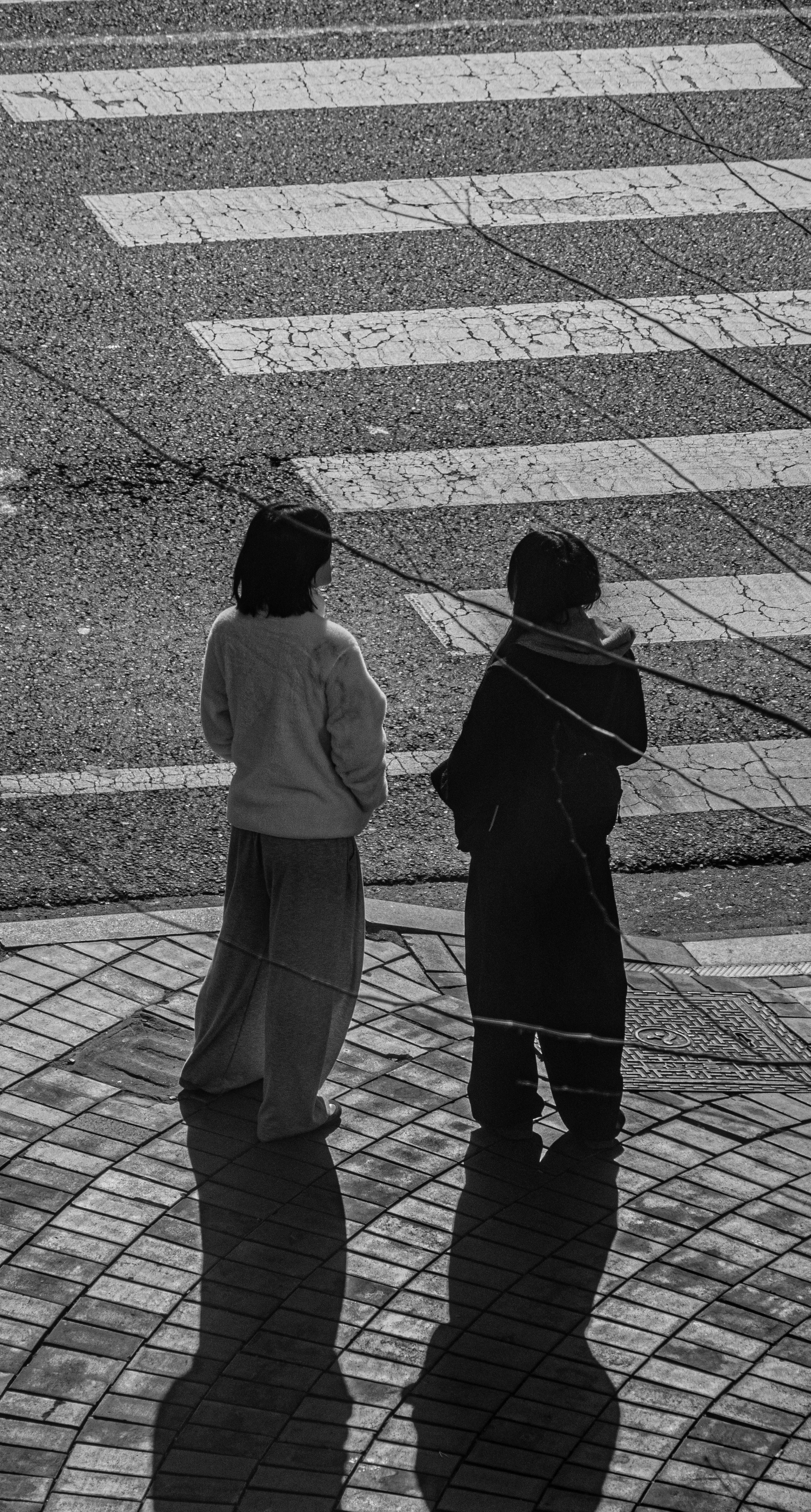 Two children stand on a crosswalk with shadows.