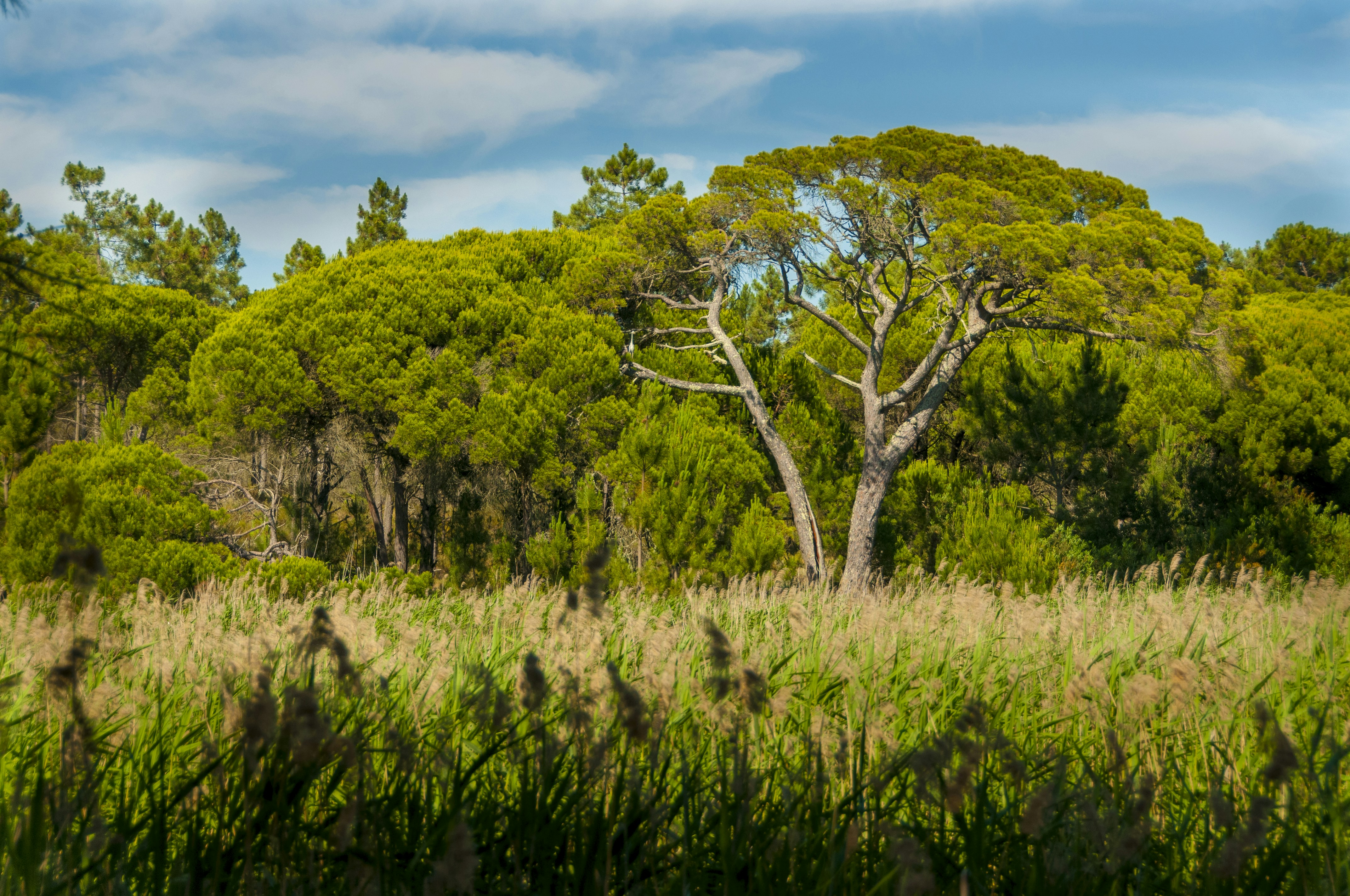 Photo by hugoalexandrecruz