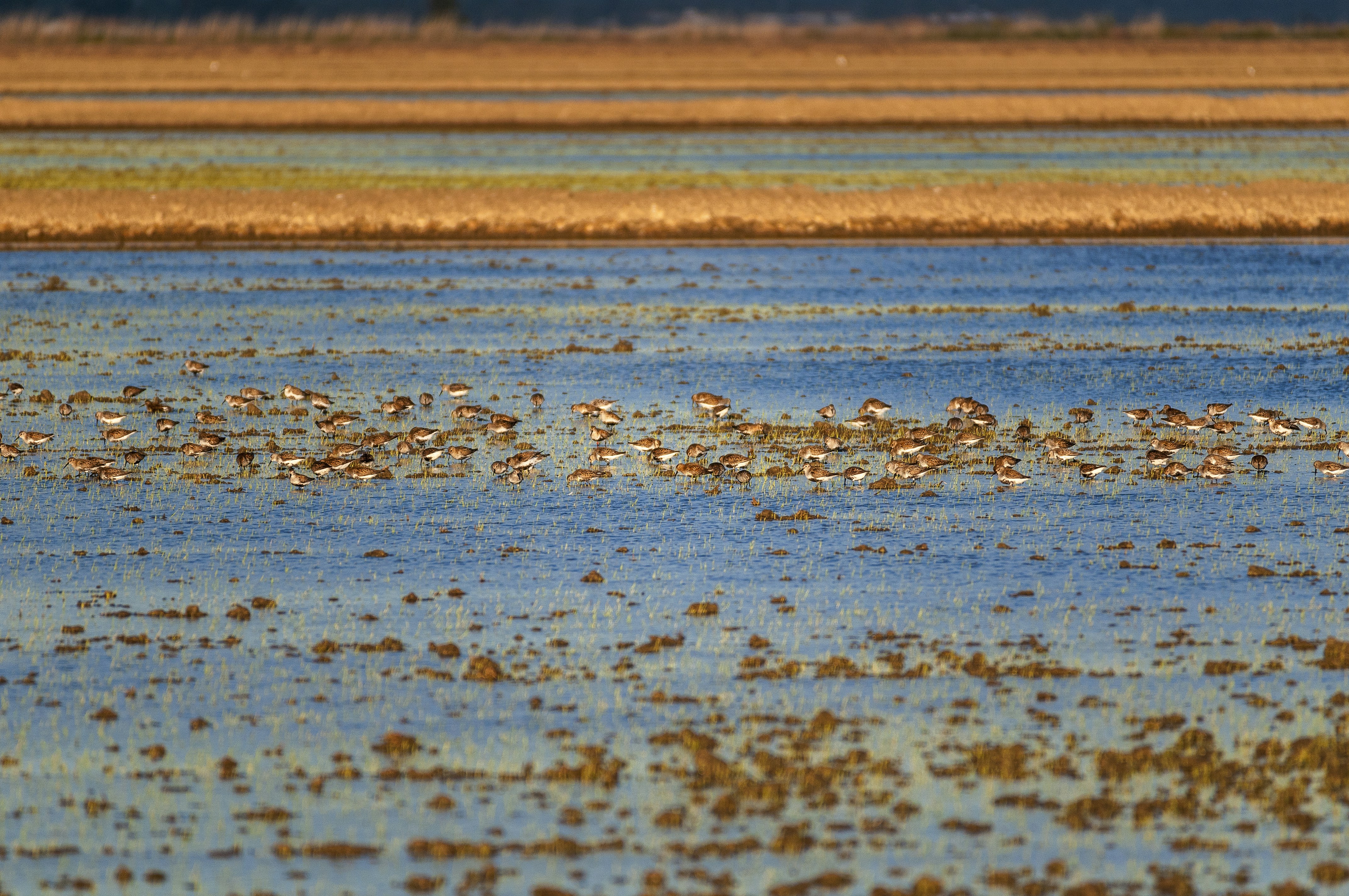 Photo by hugoalexandrecruz