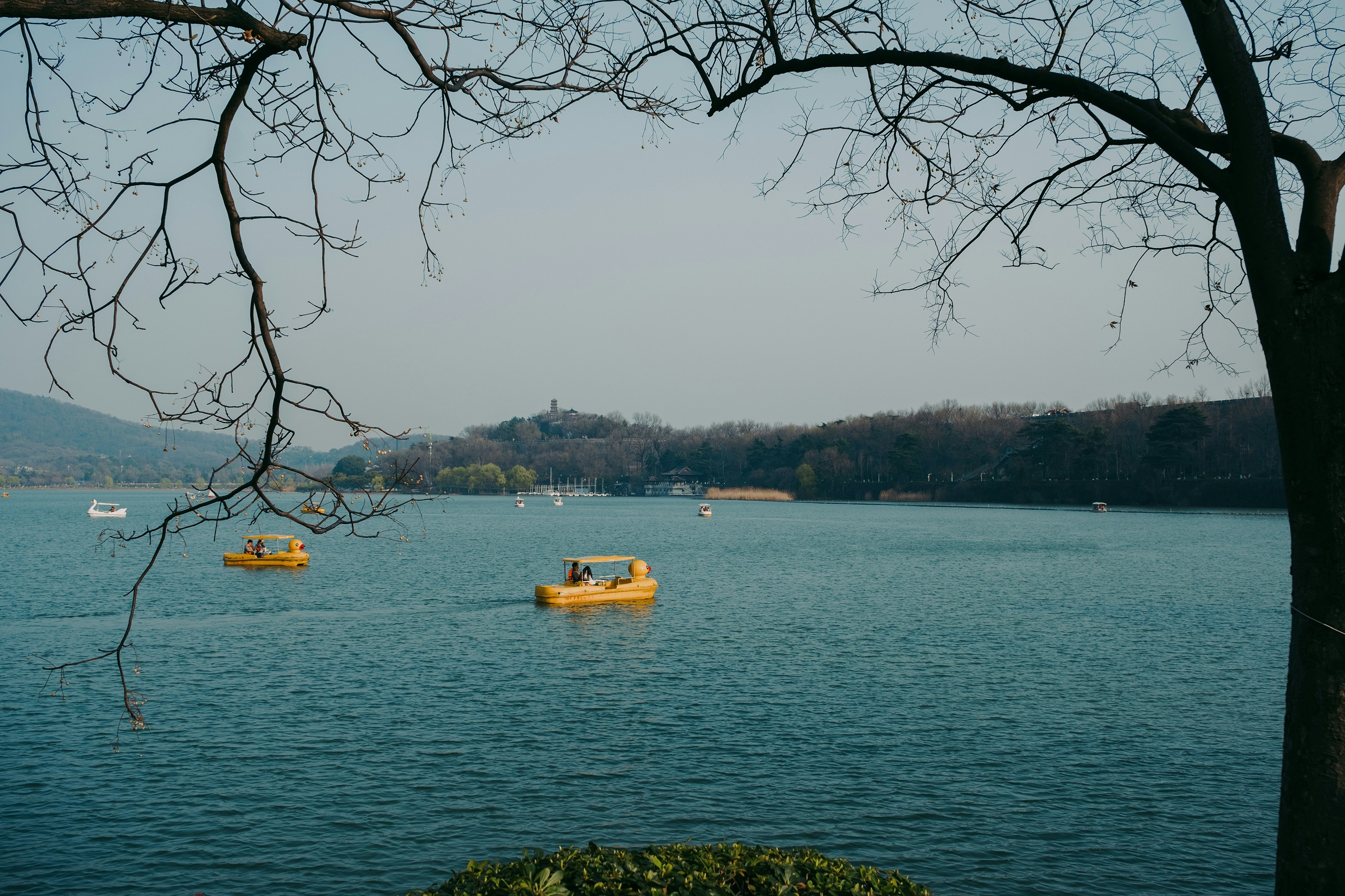 Yellow paddle boats on a calm lake with trees.
