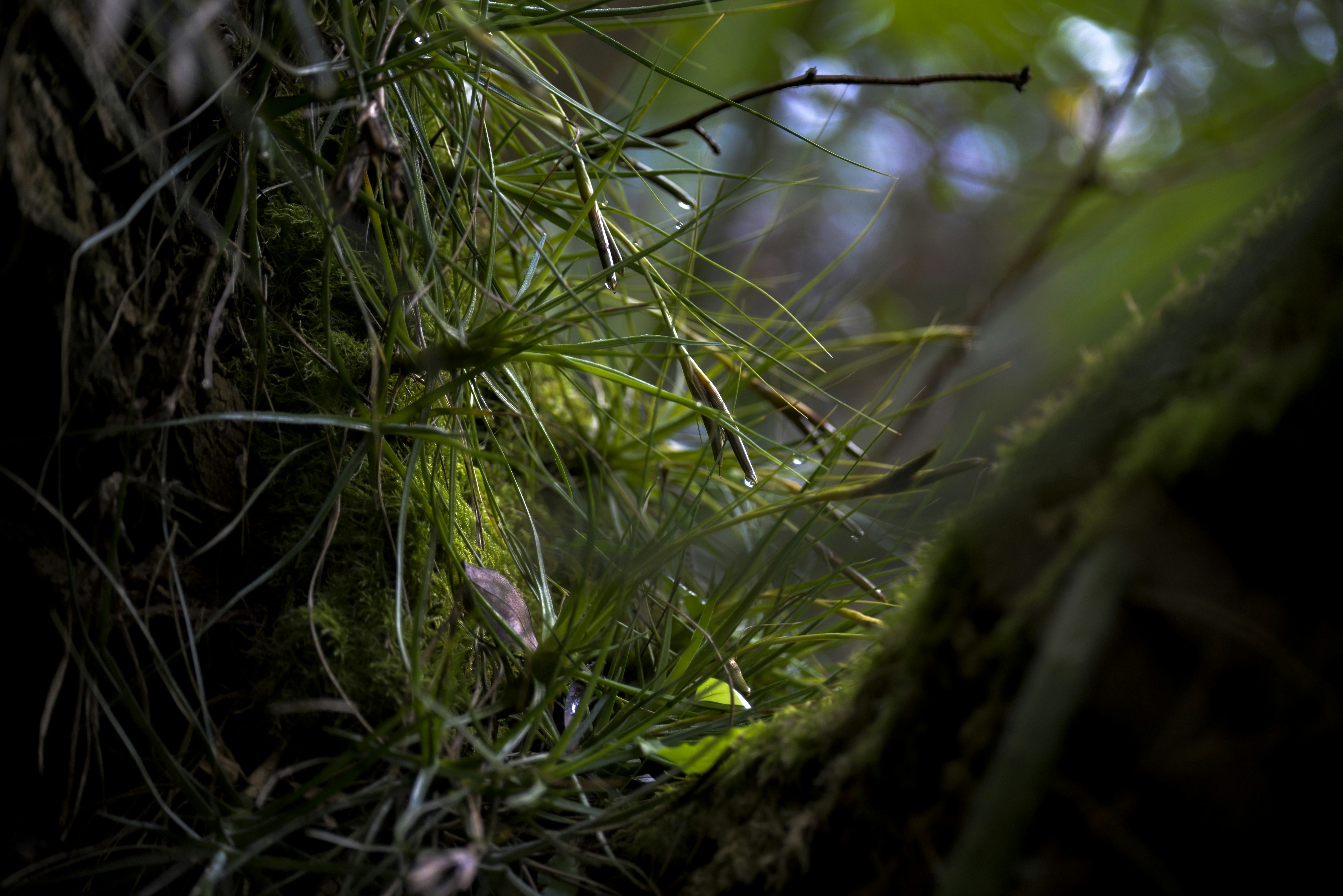 Photo by terezakouba