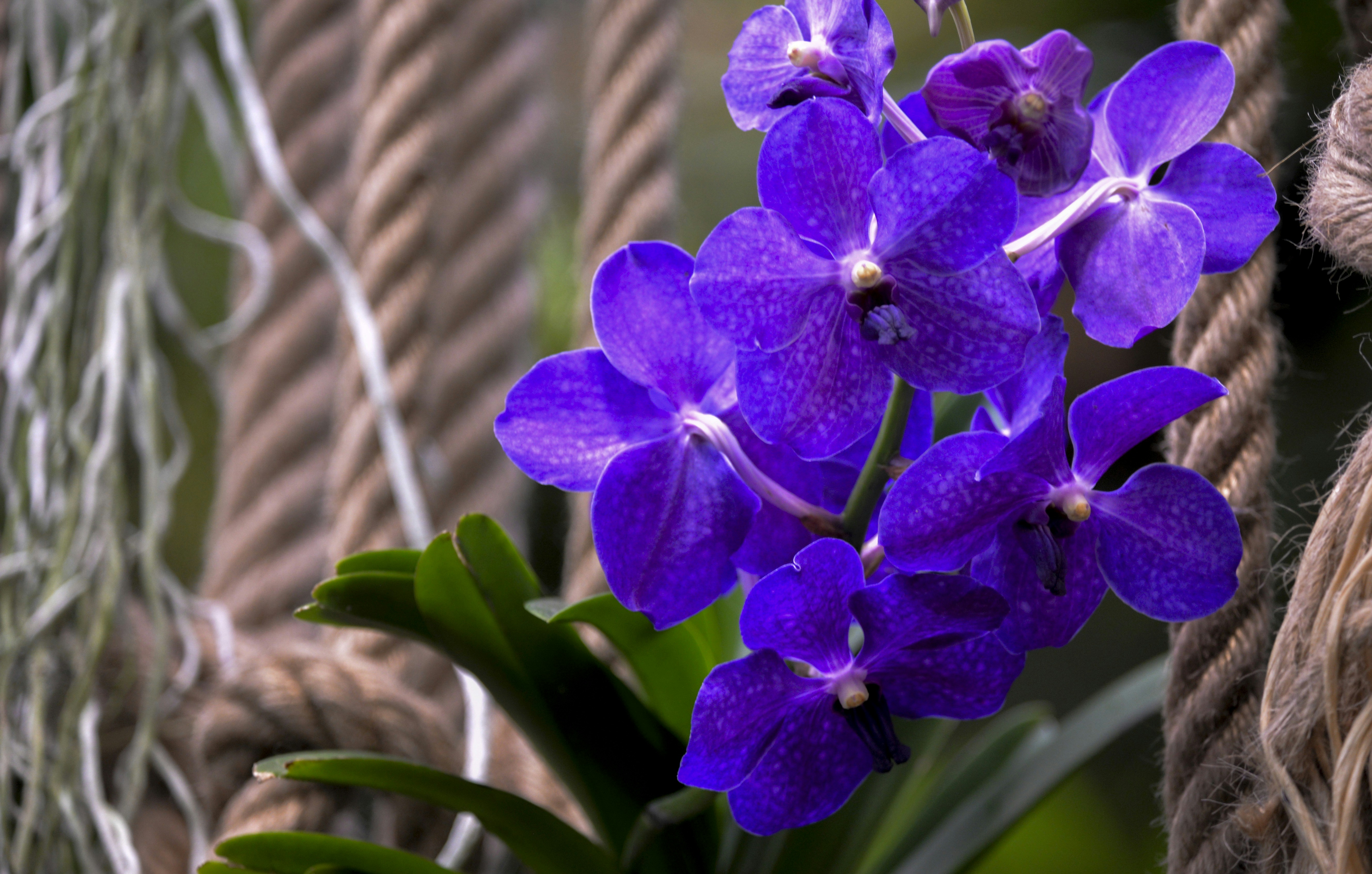 Photo by terezakouba