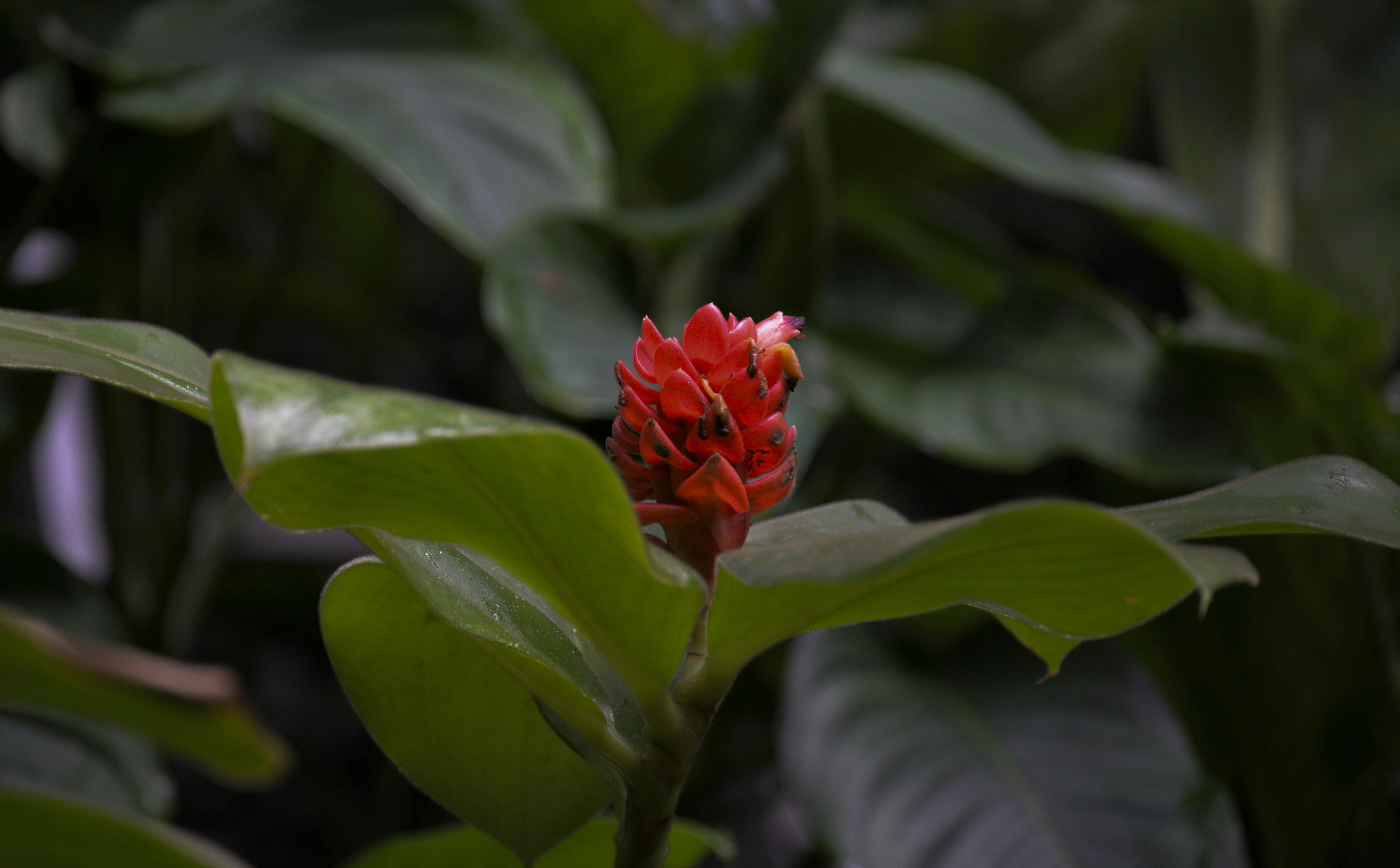 Photo by terezakouba