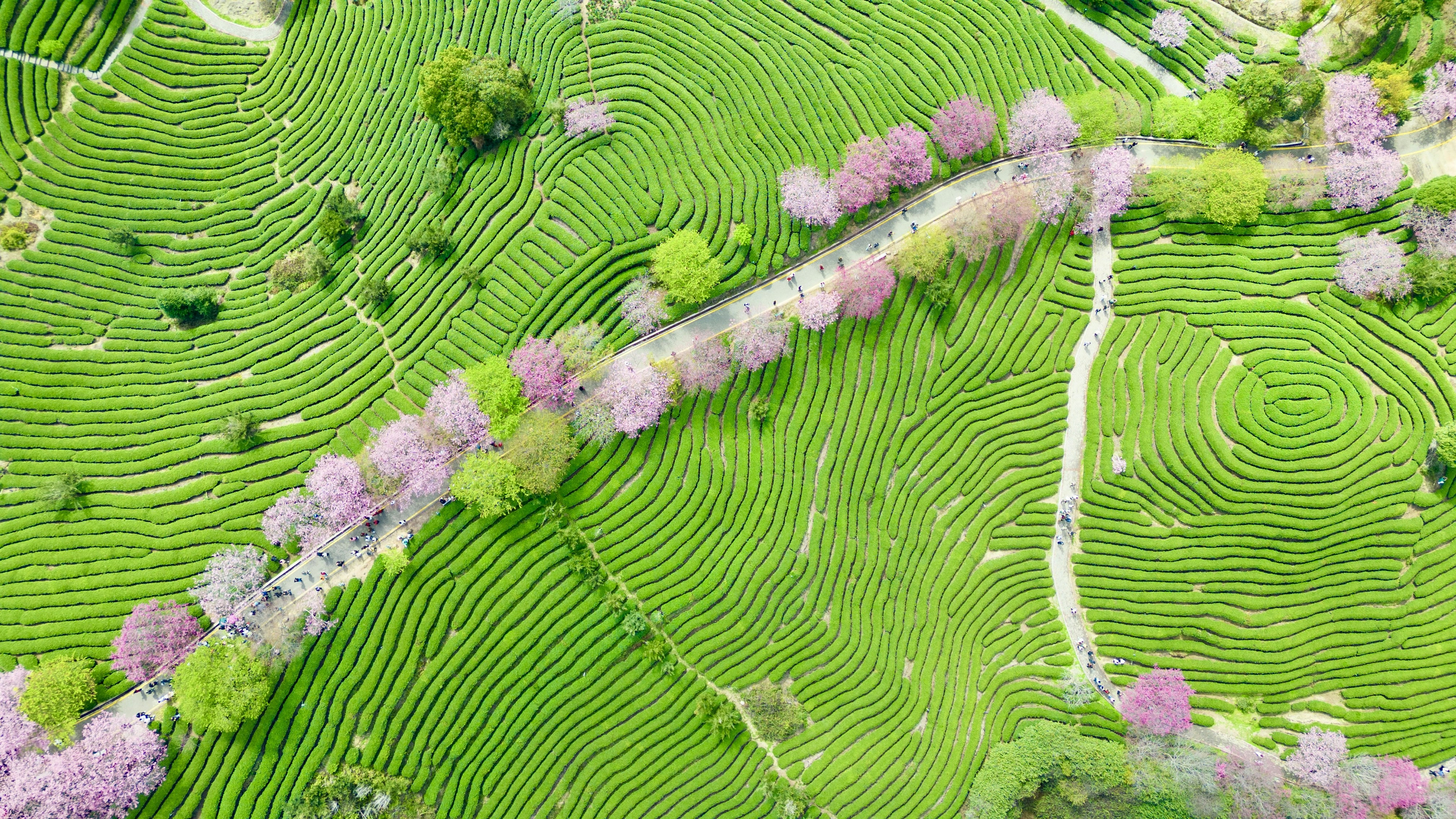 Trans feminist scholar Dr Ruth Pearce honoured with prestigious Emma Goldman Award