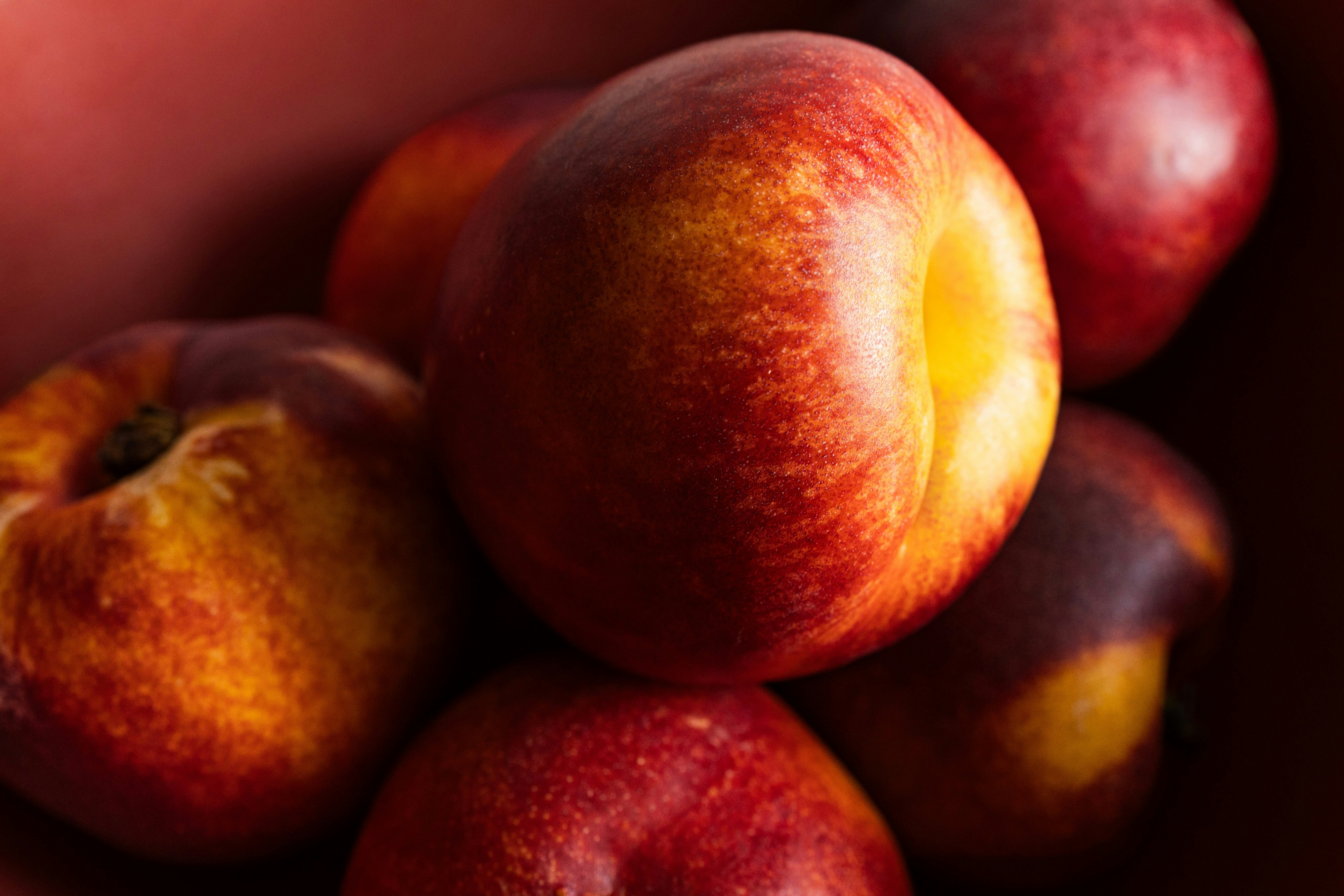 Photo by studiostephaniesarlos