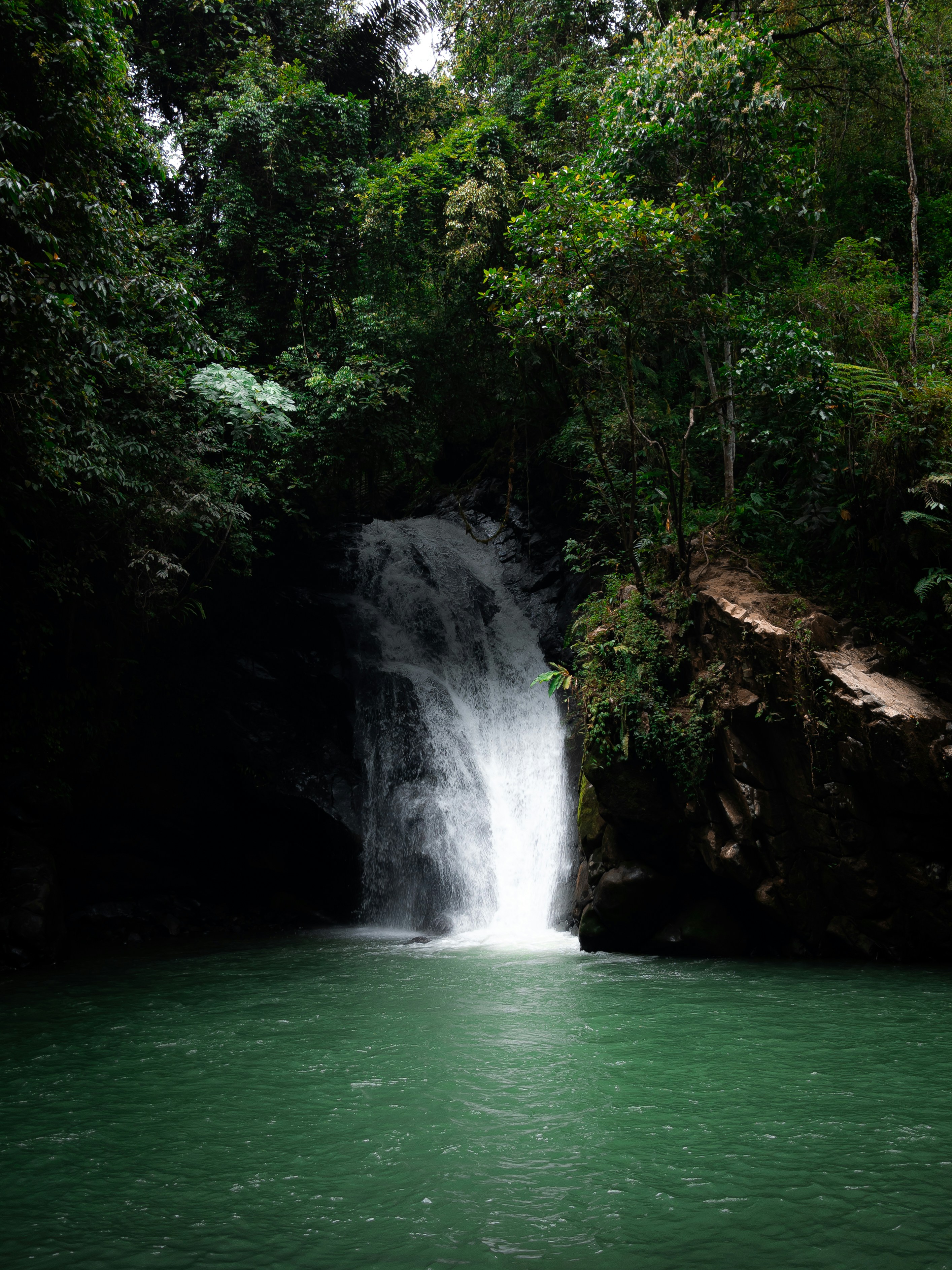 Air terjun yang tenang mengalir ke kolam hijau yang cerah.