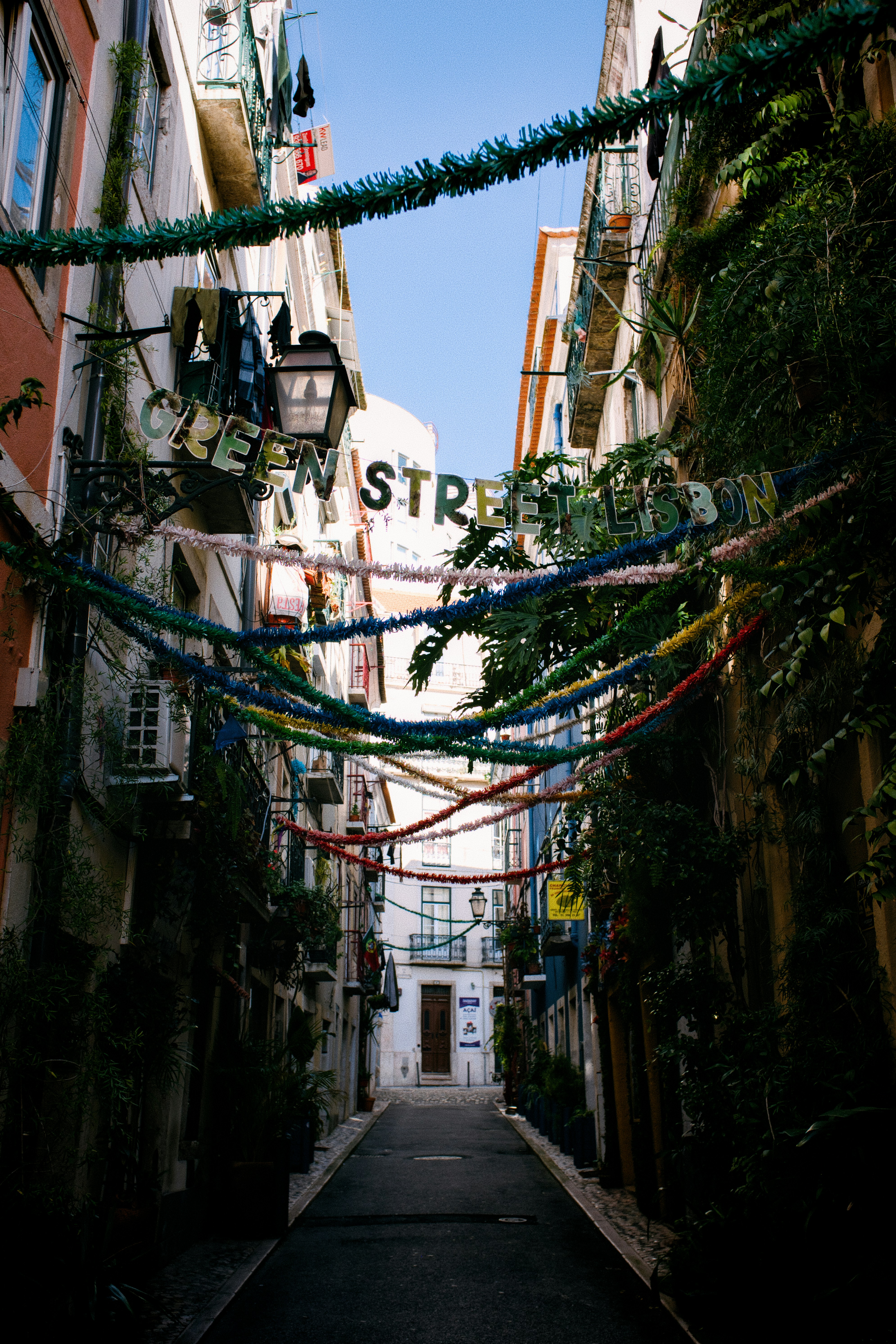 Campo de Ourique: Authentic Local Life