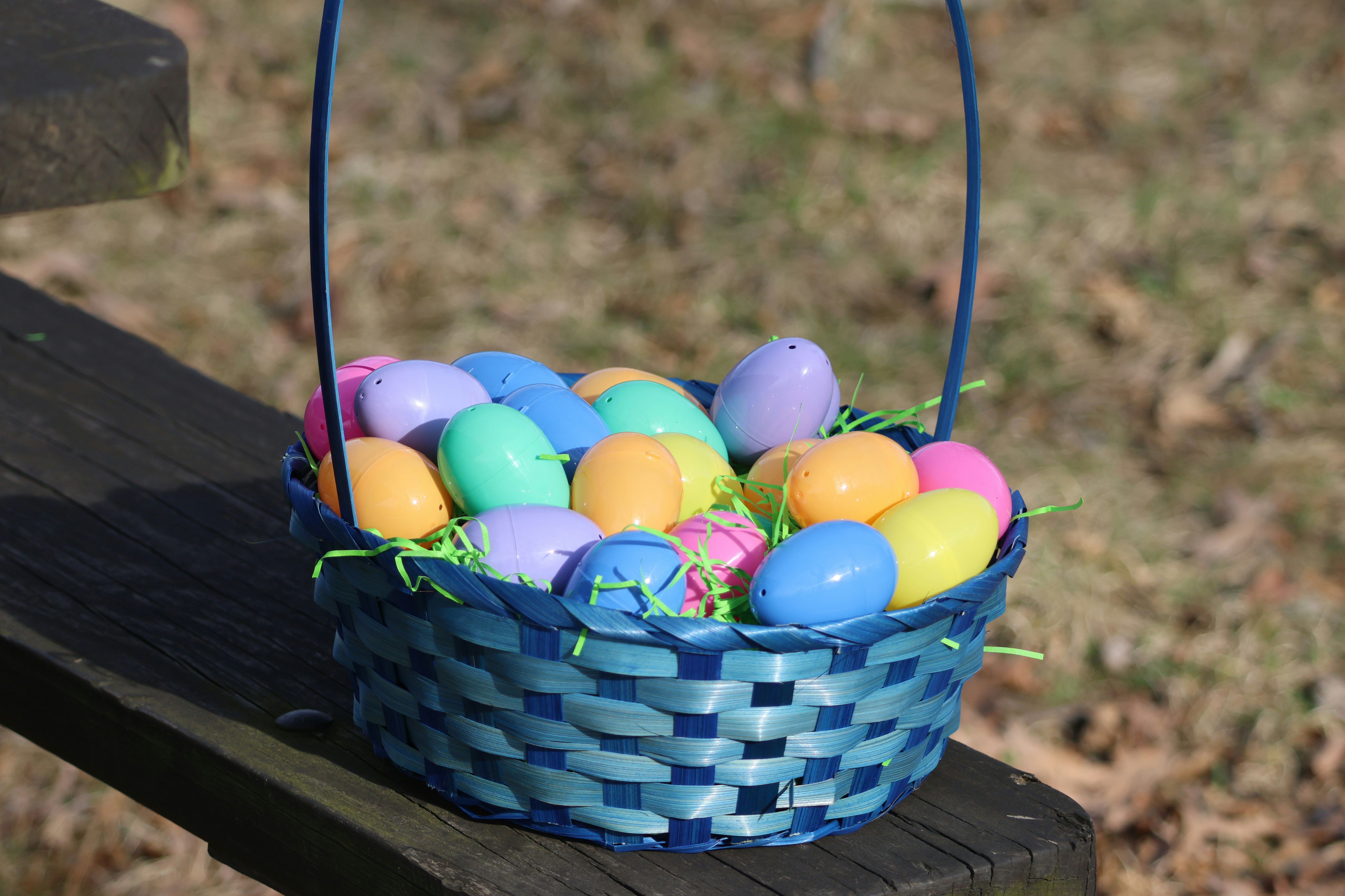 Photo by cornthechicken