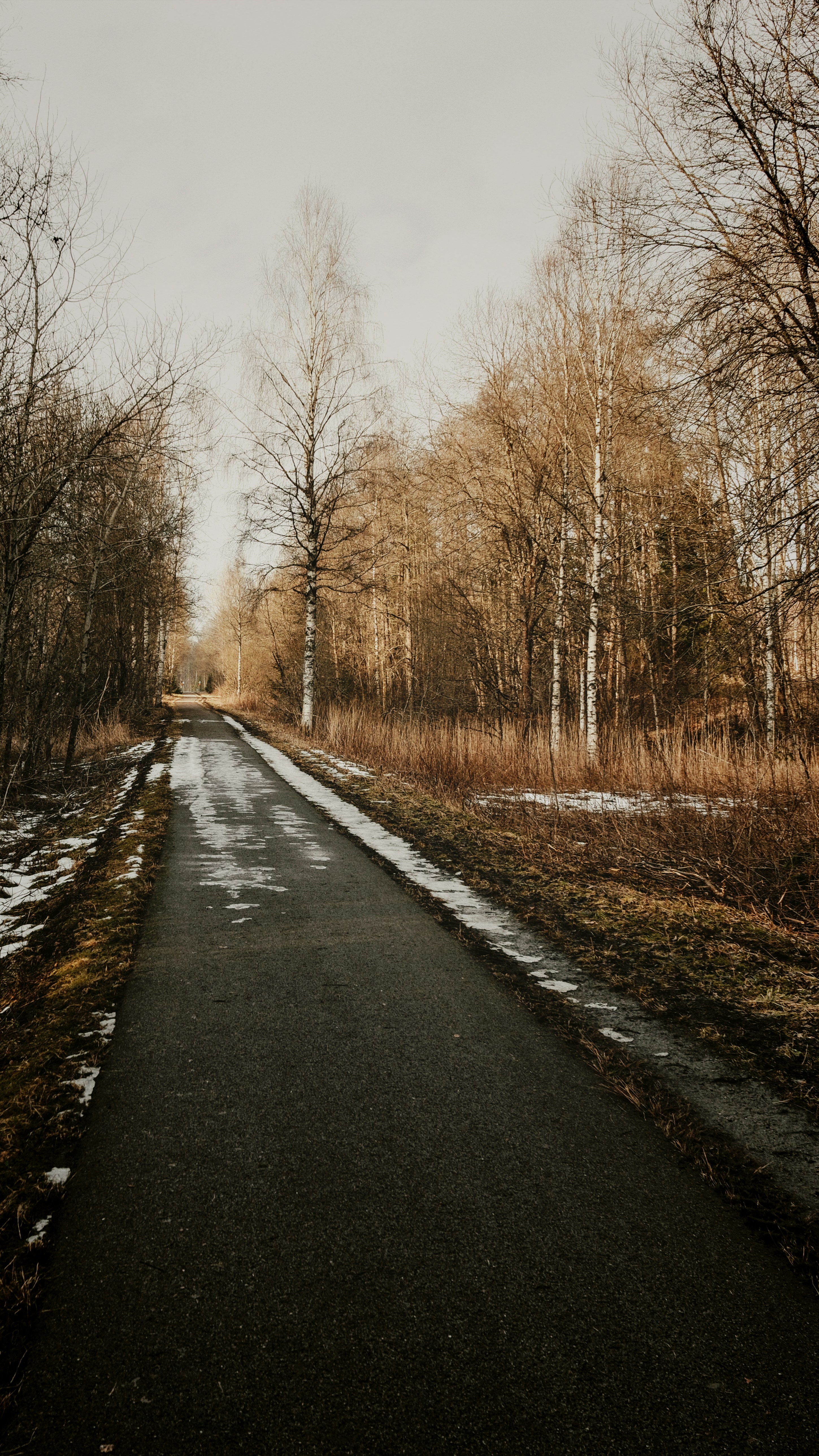 Photo by magnusjonasson