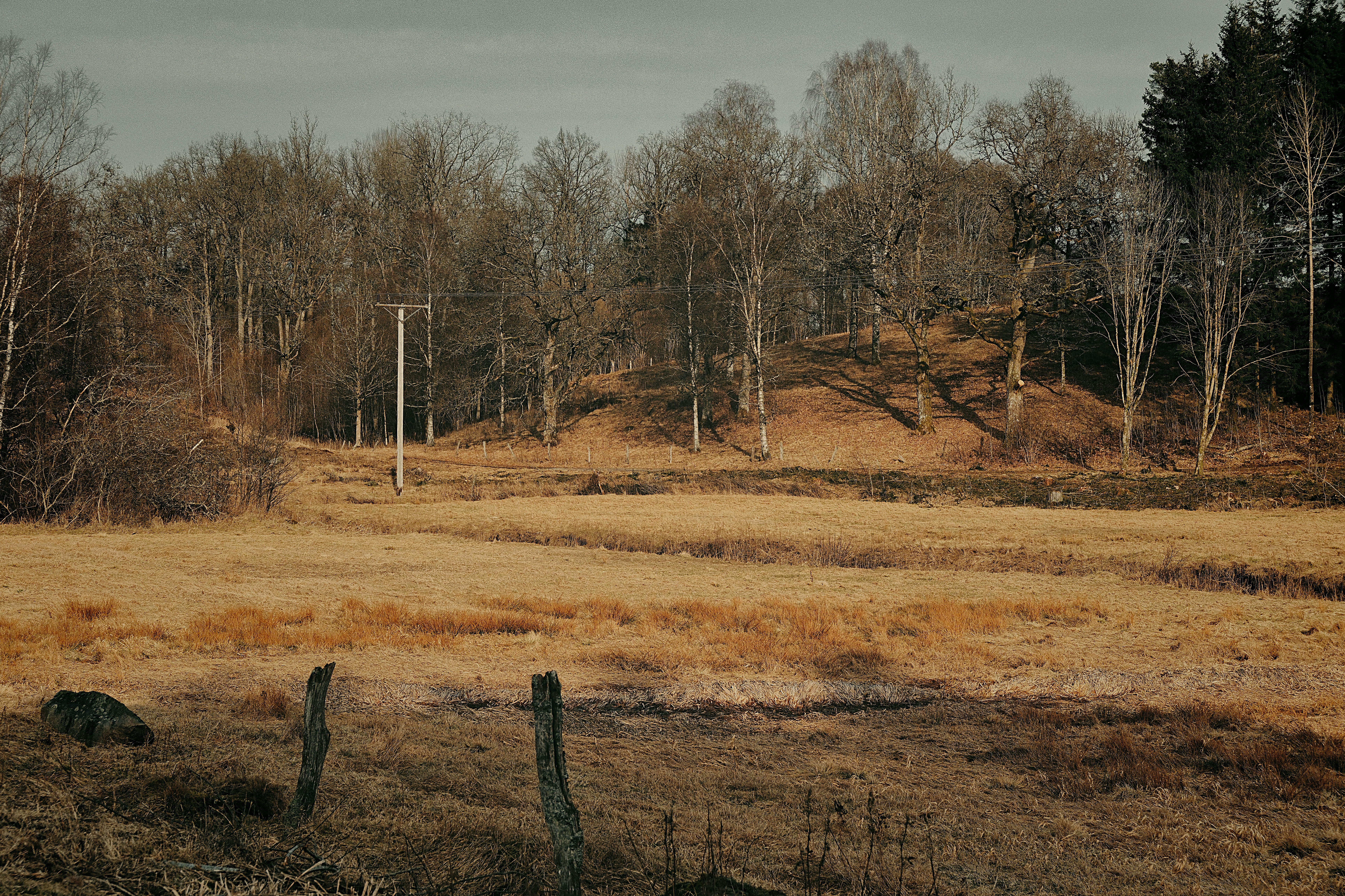 Photo by magnusjonasson