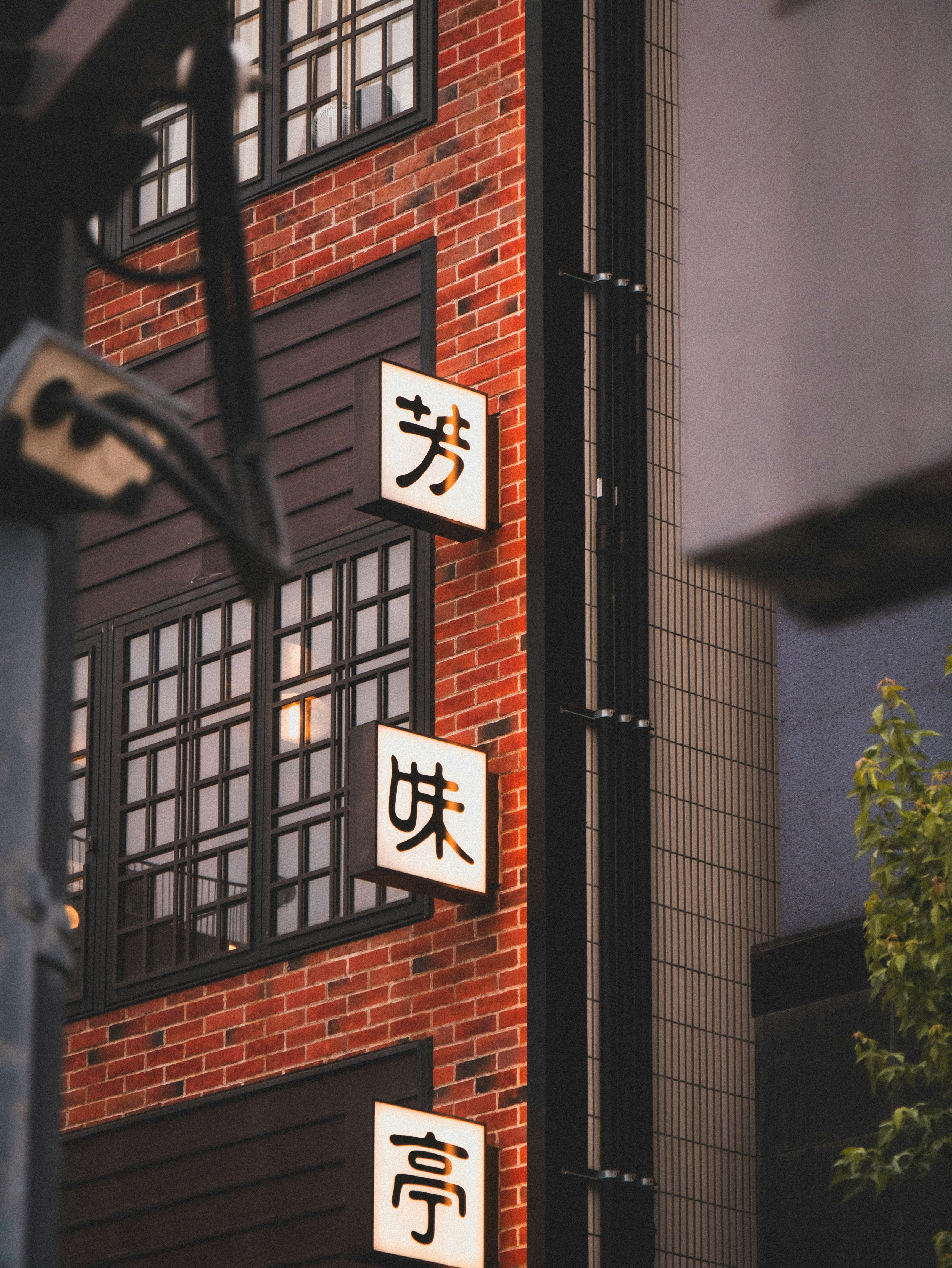 Food Scene Navigation for Beginners