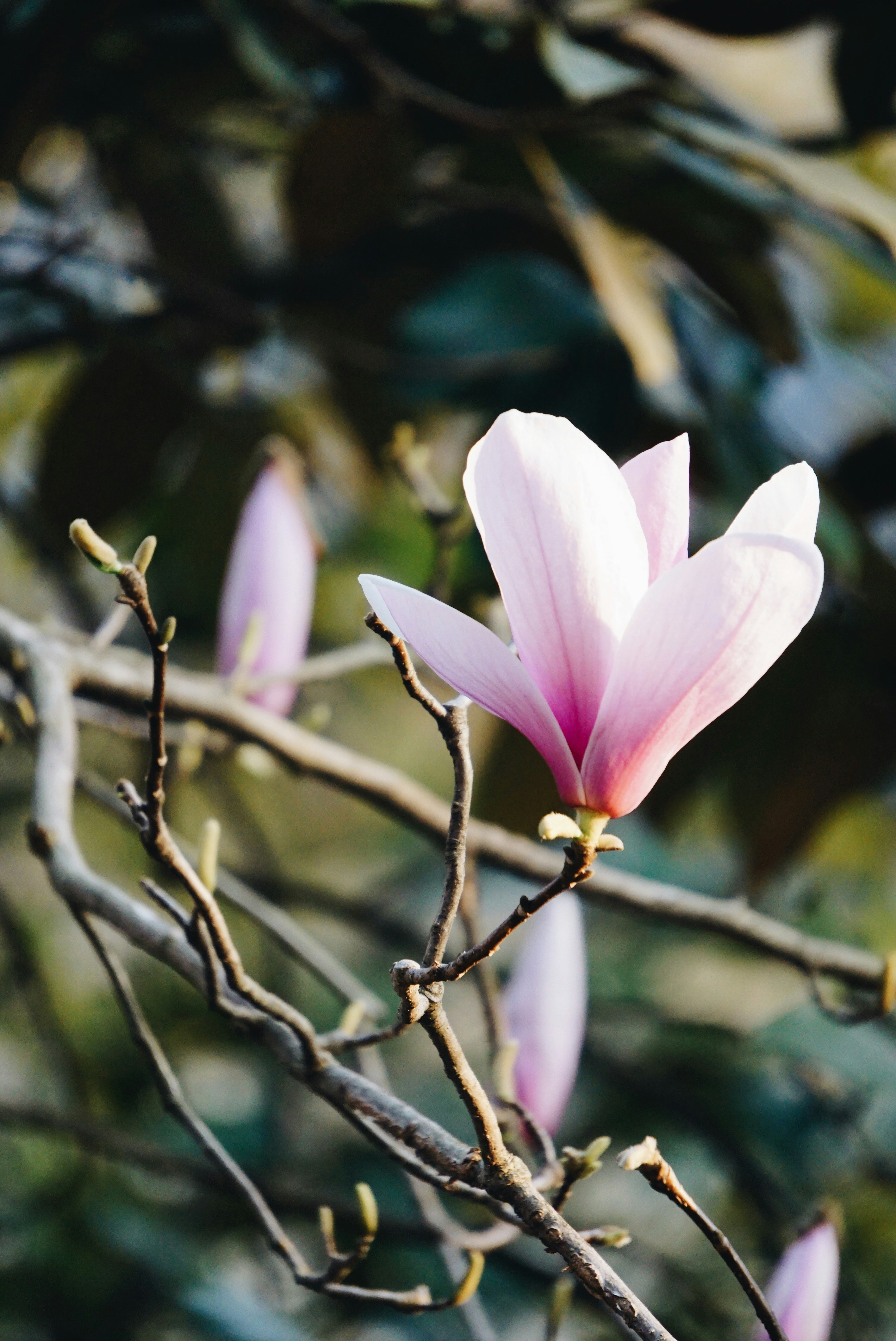 Photo by chuicf0025