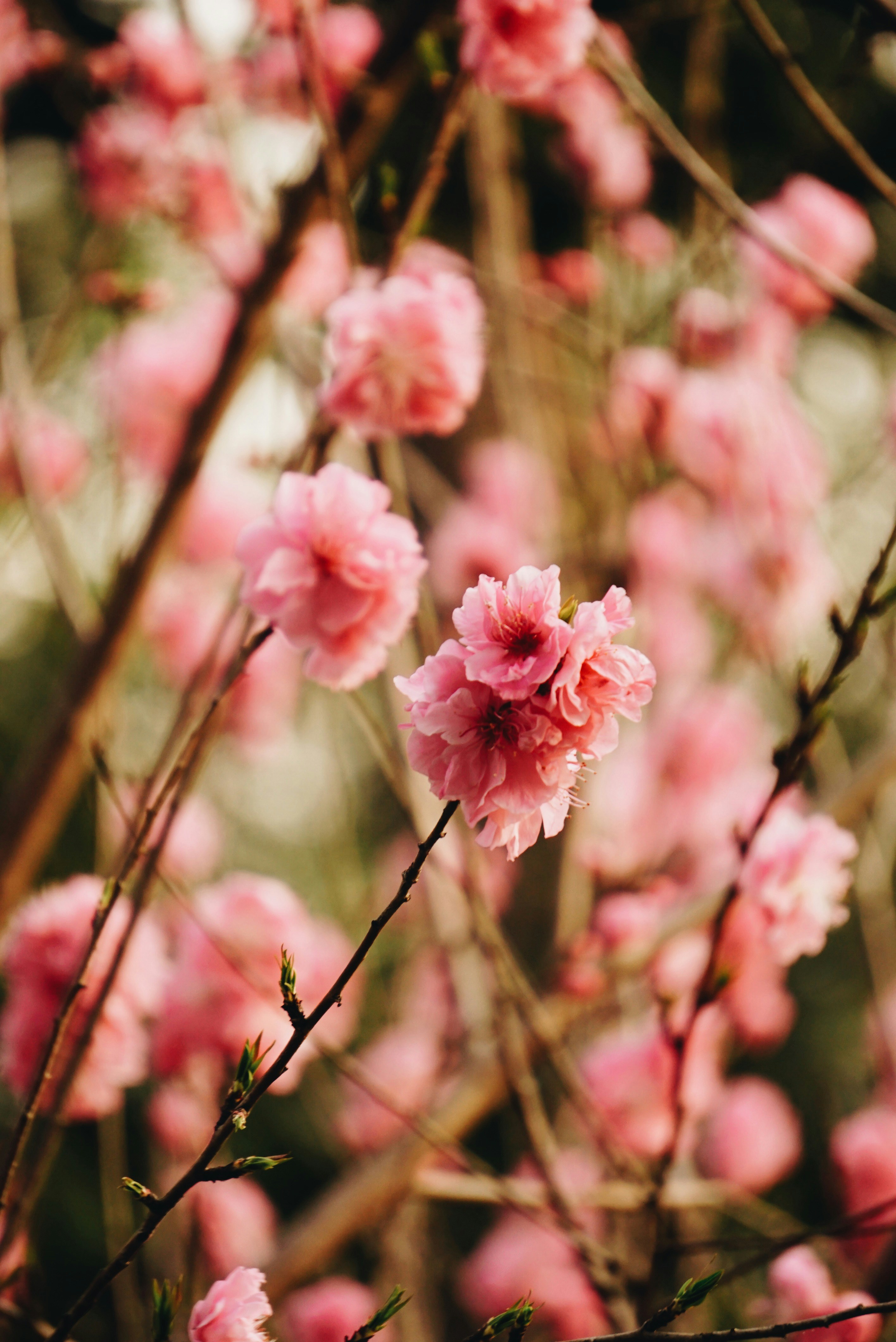 Photo by chuicf0025