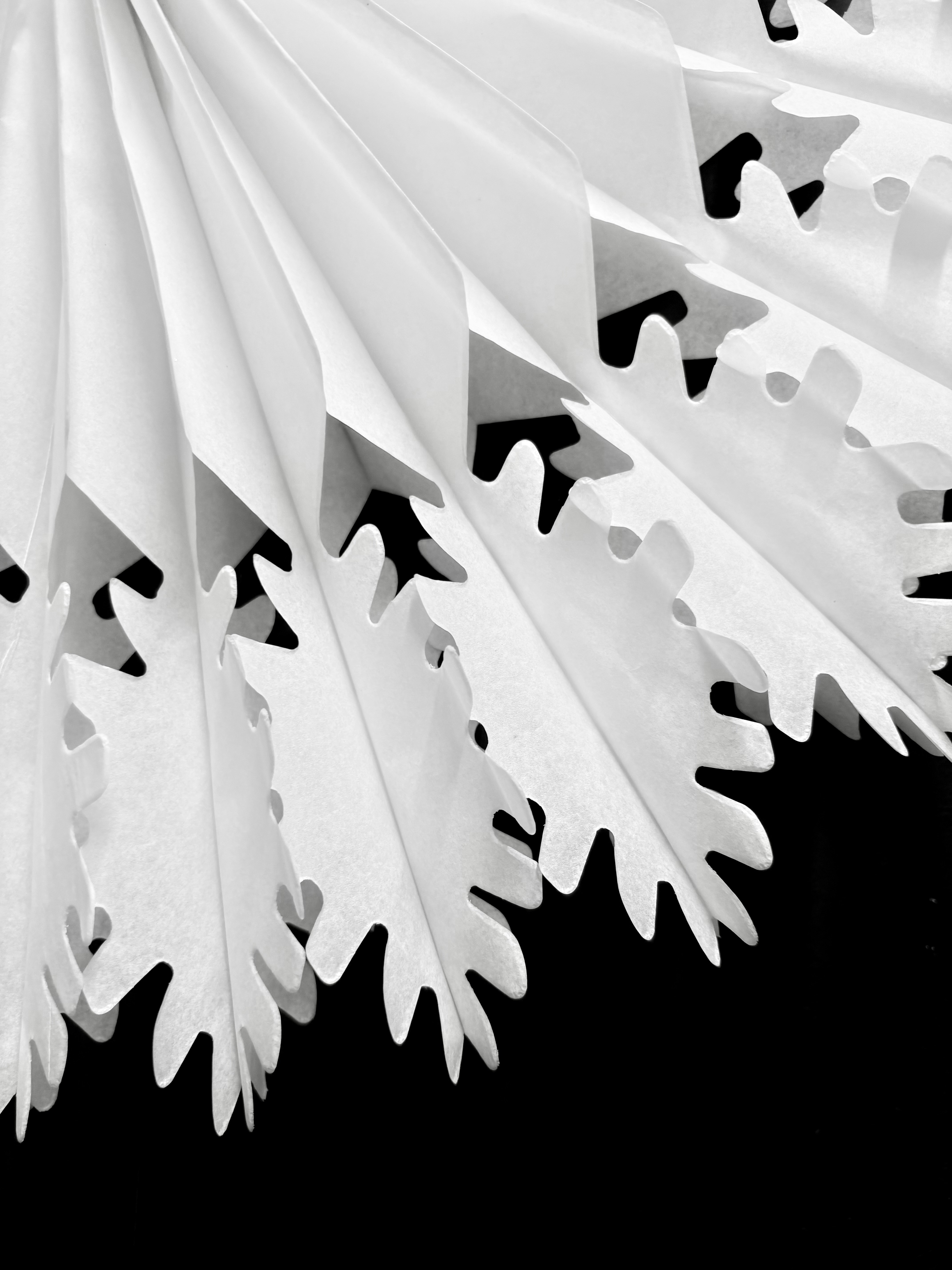 Photo by tashakostyuk