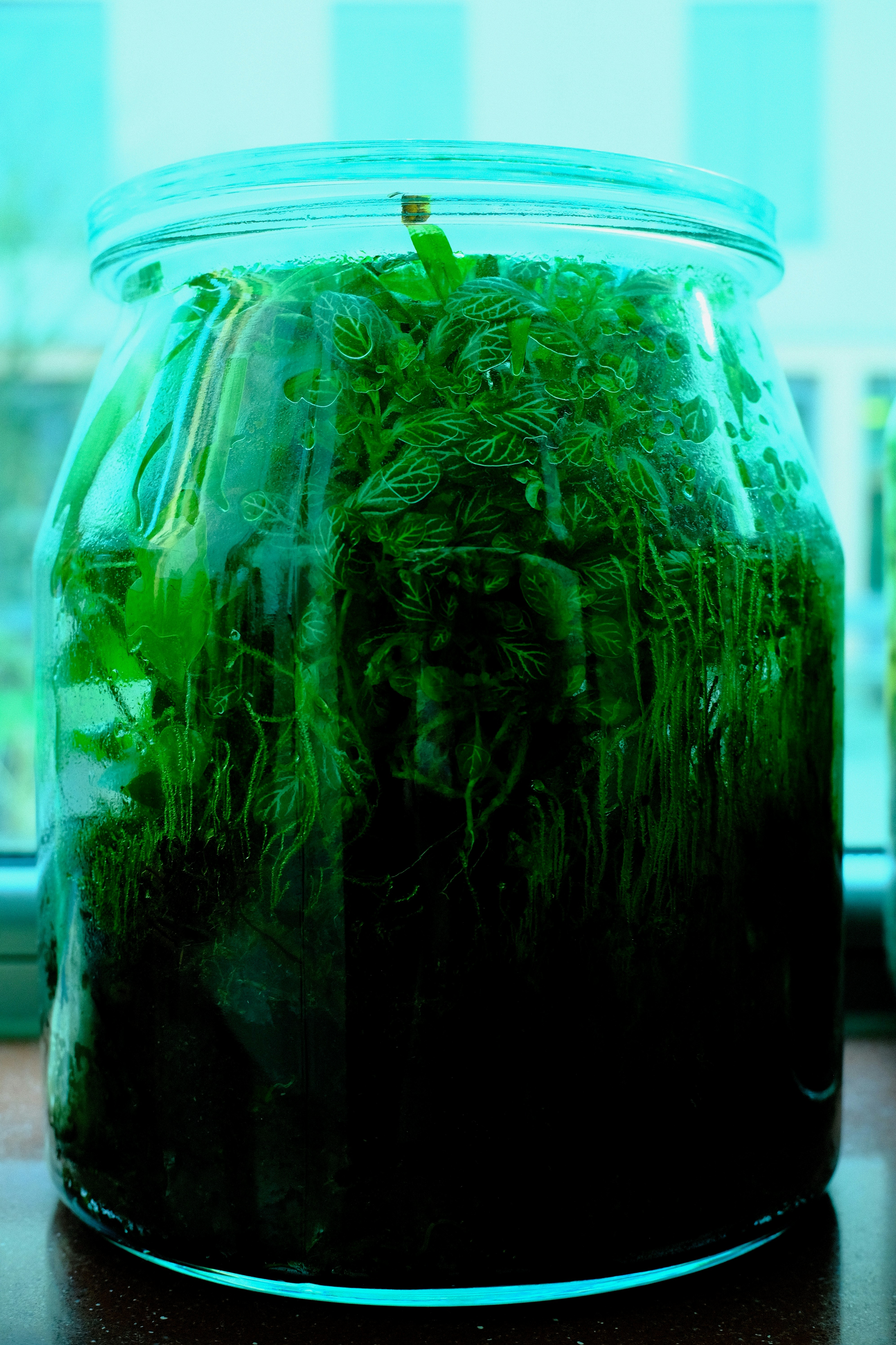 Photo by jonasgerlach