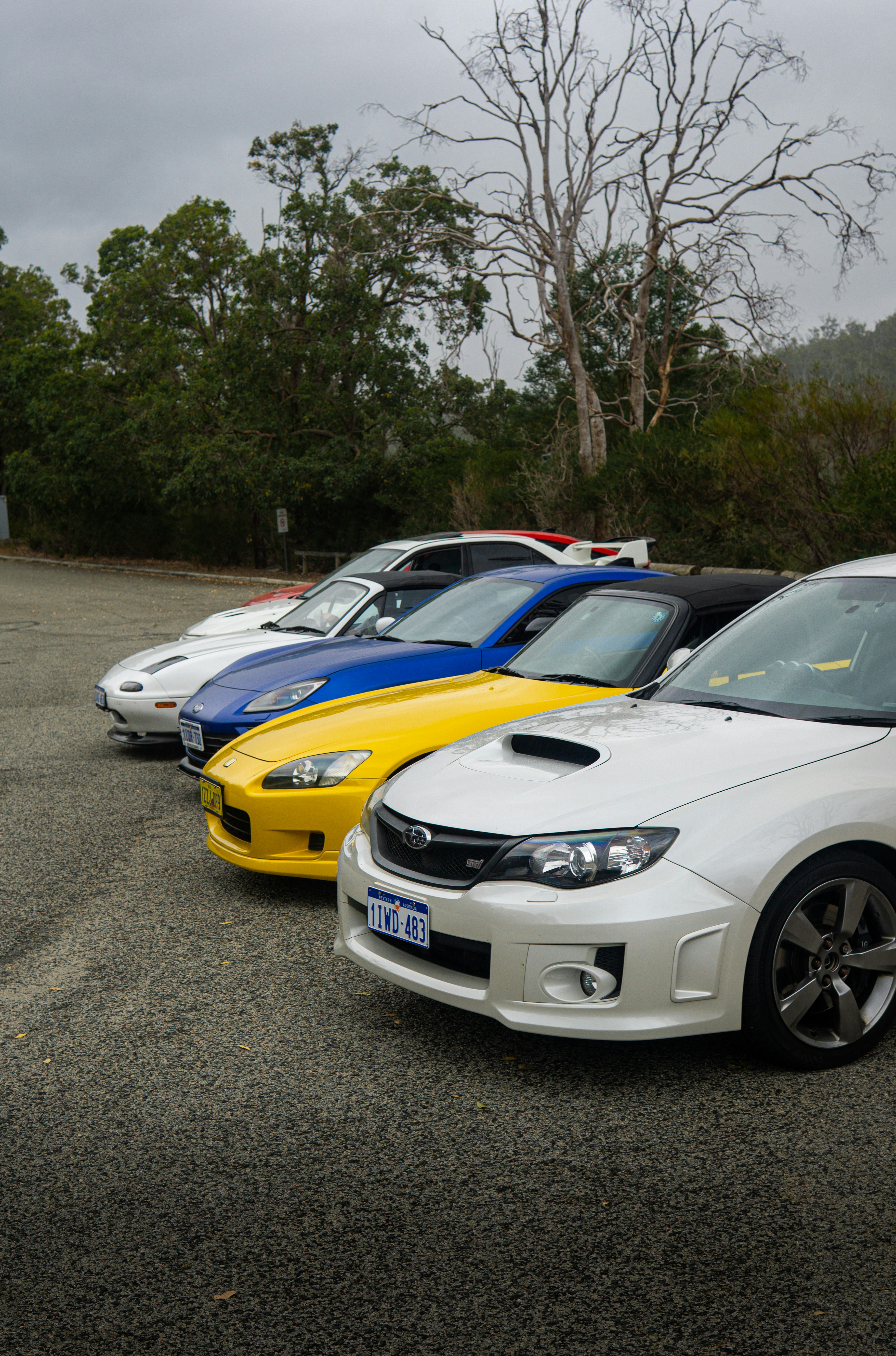 カラフルなスポーツカーが何台も並んで停まっていた。