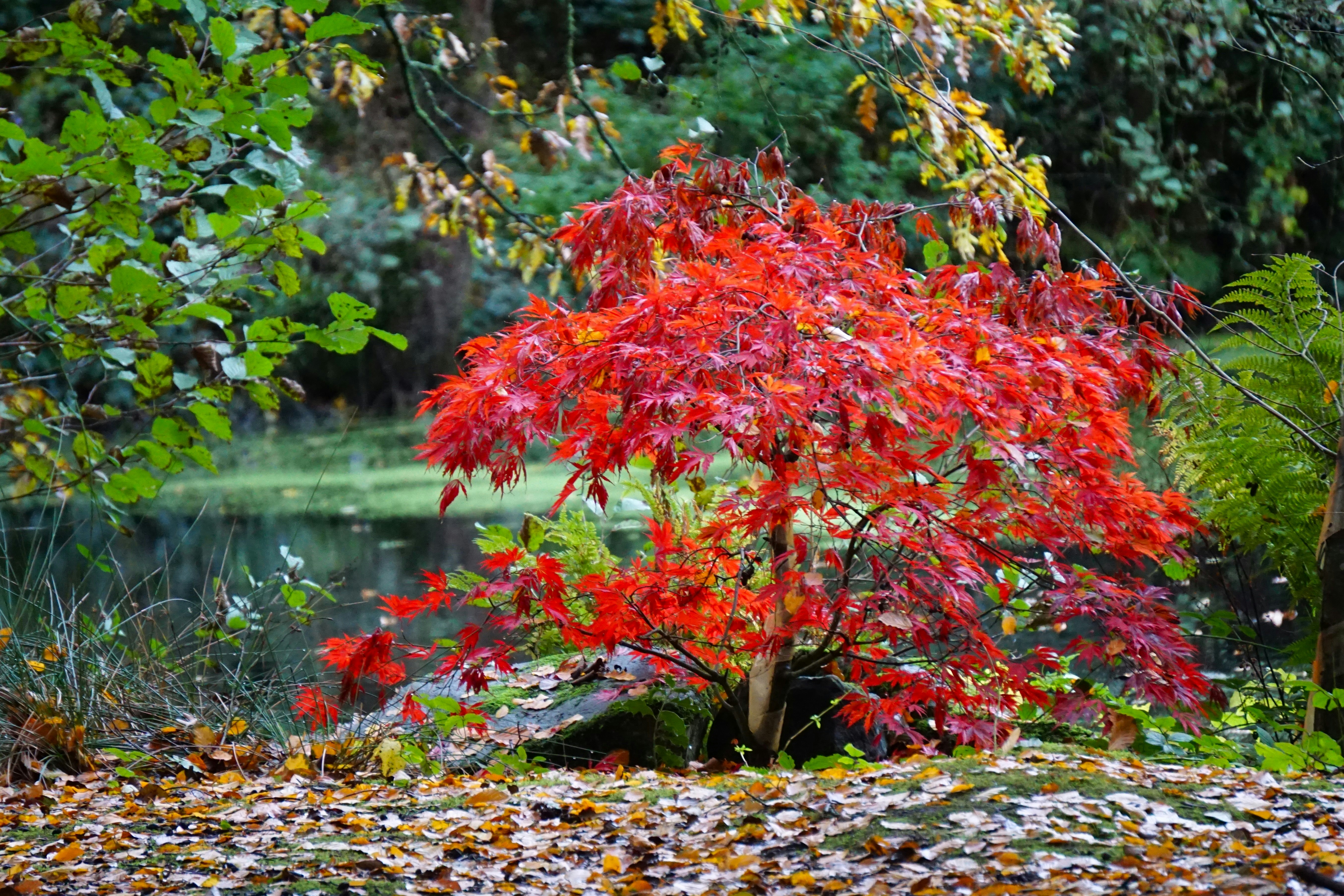 Photo by mostlymarvelling