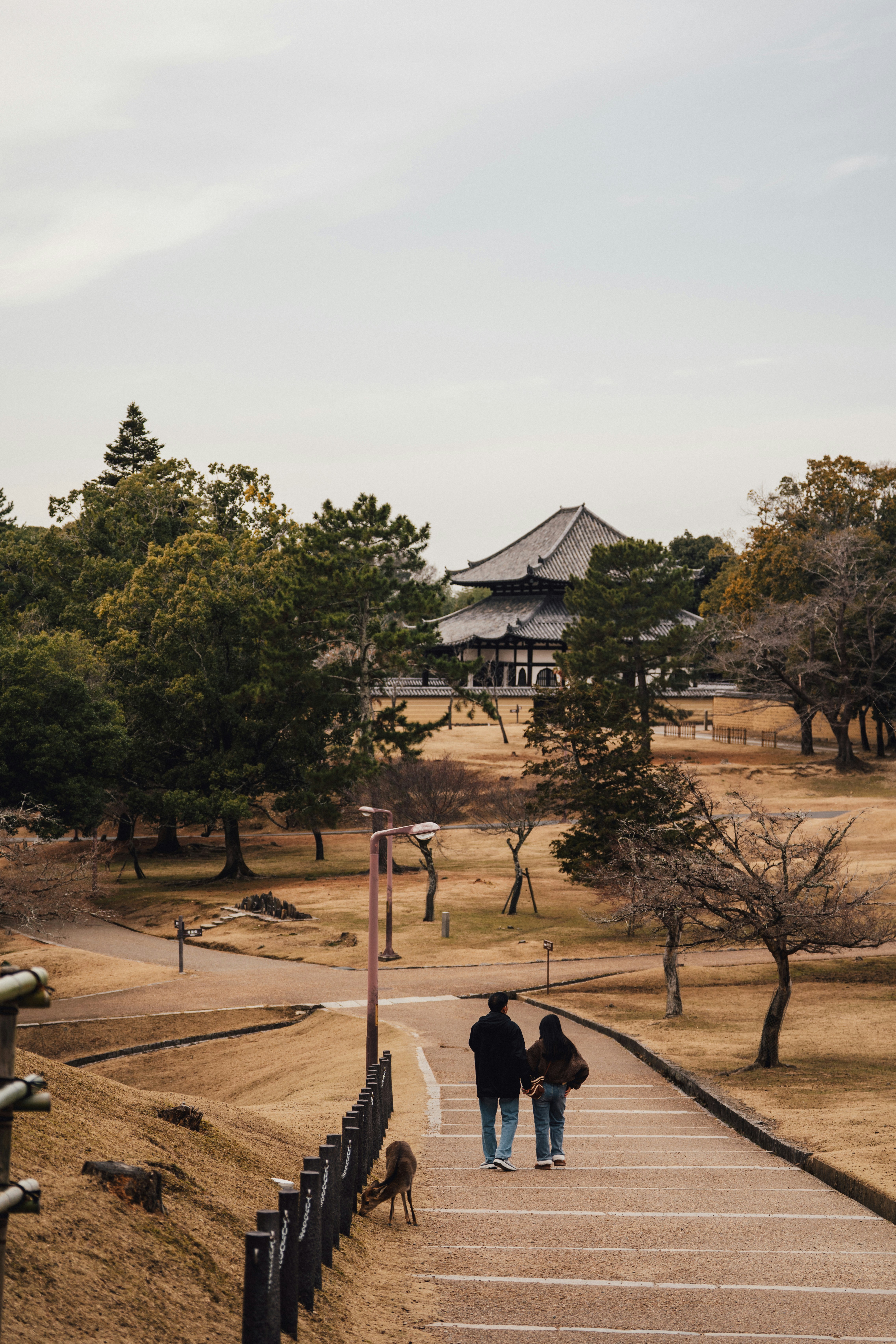 japanese couple walking a dog in the park