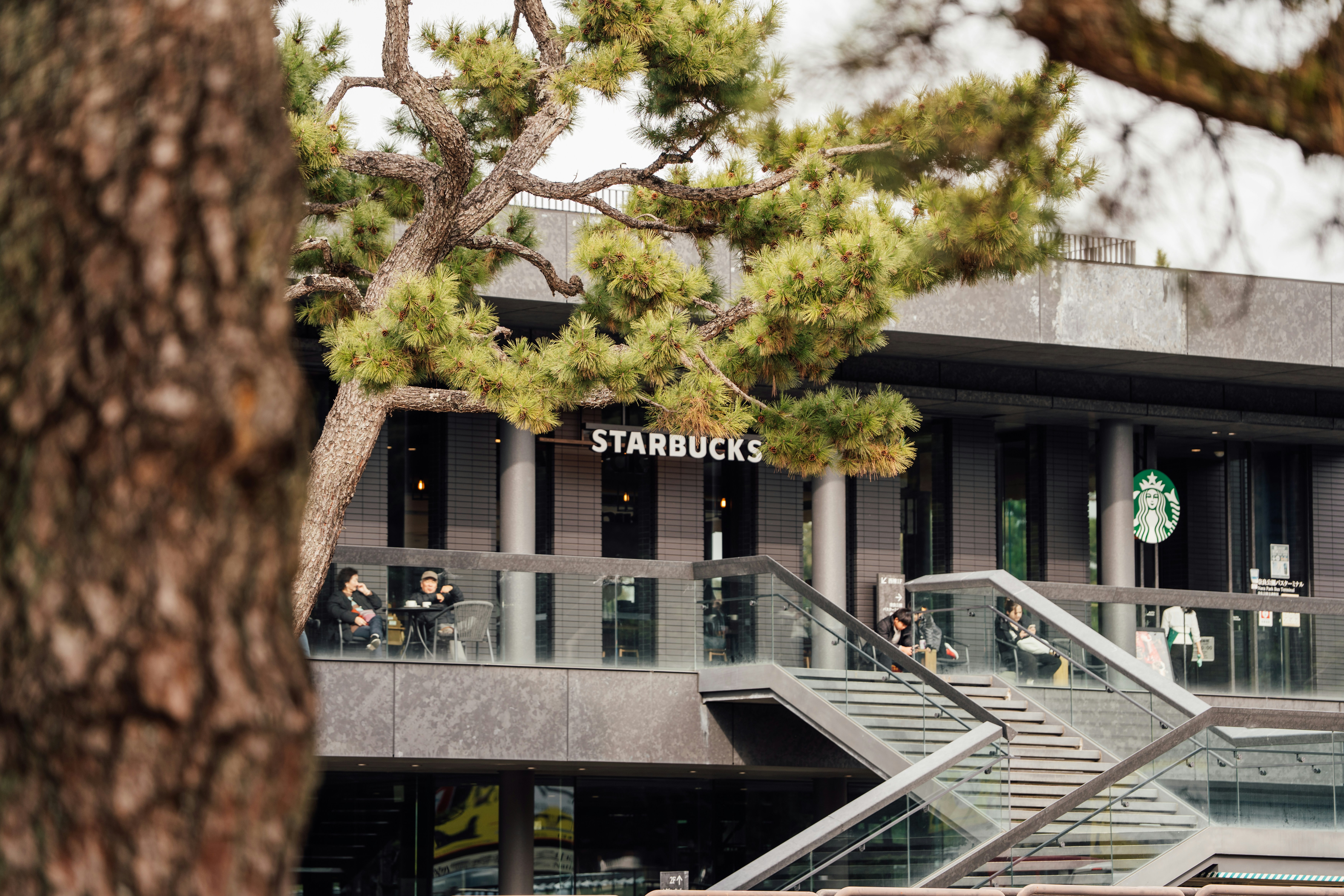 Starbucks