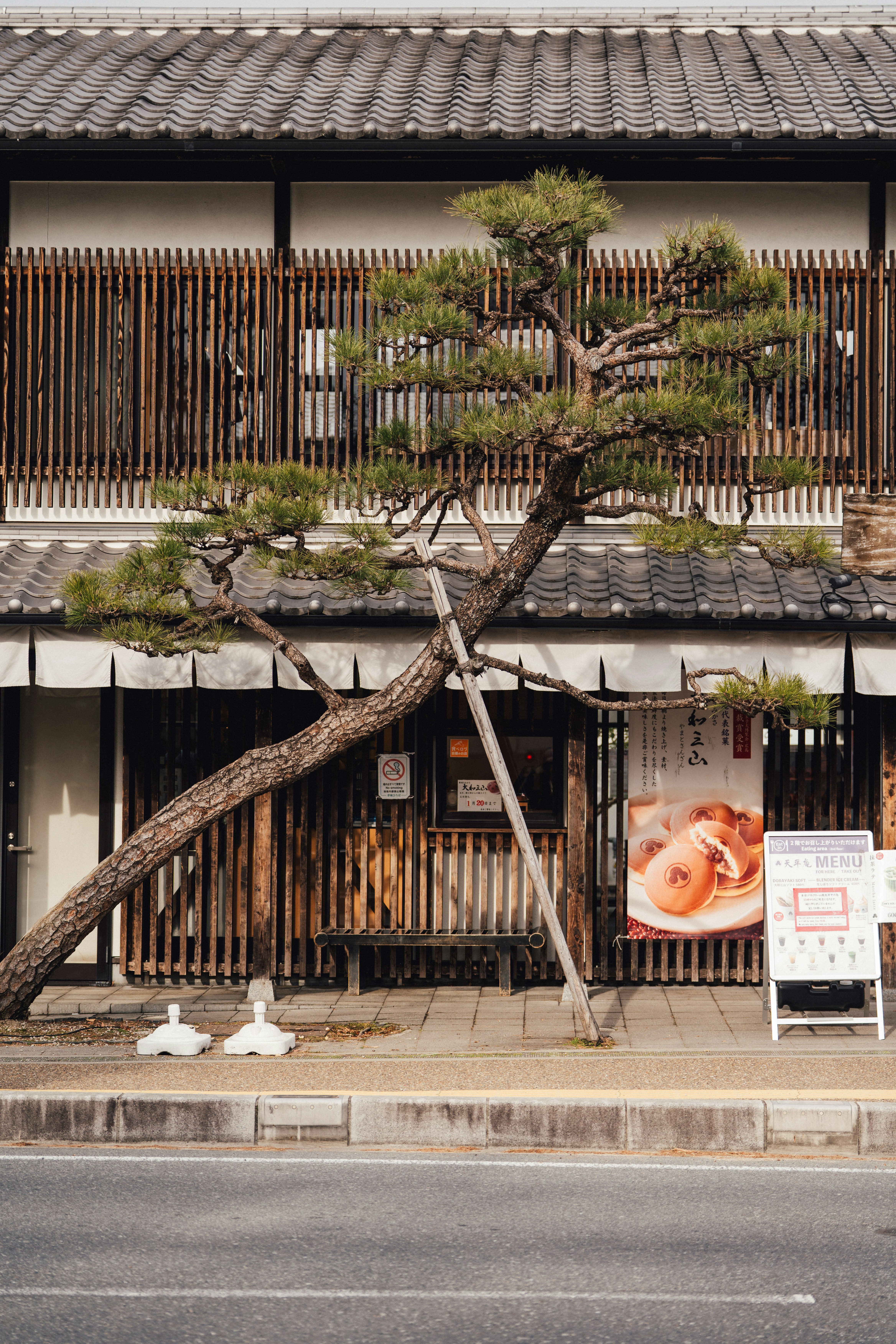 Nara Park: Sacred Deer Encounters and Park Layout