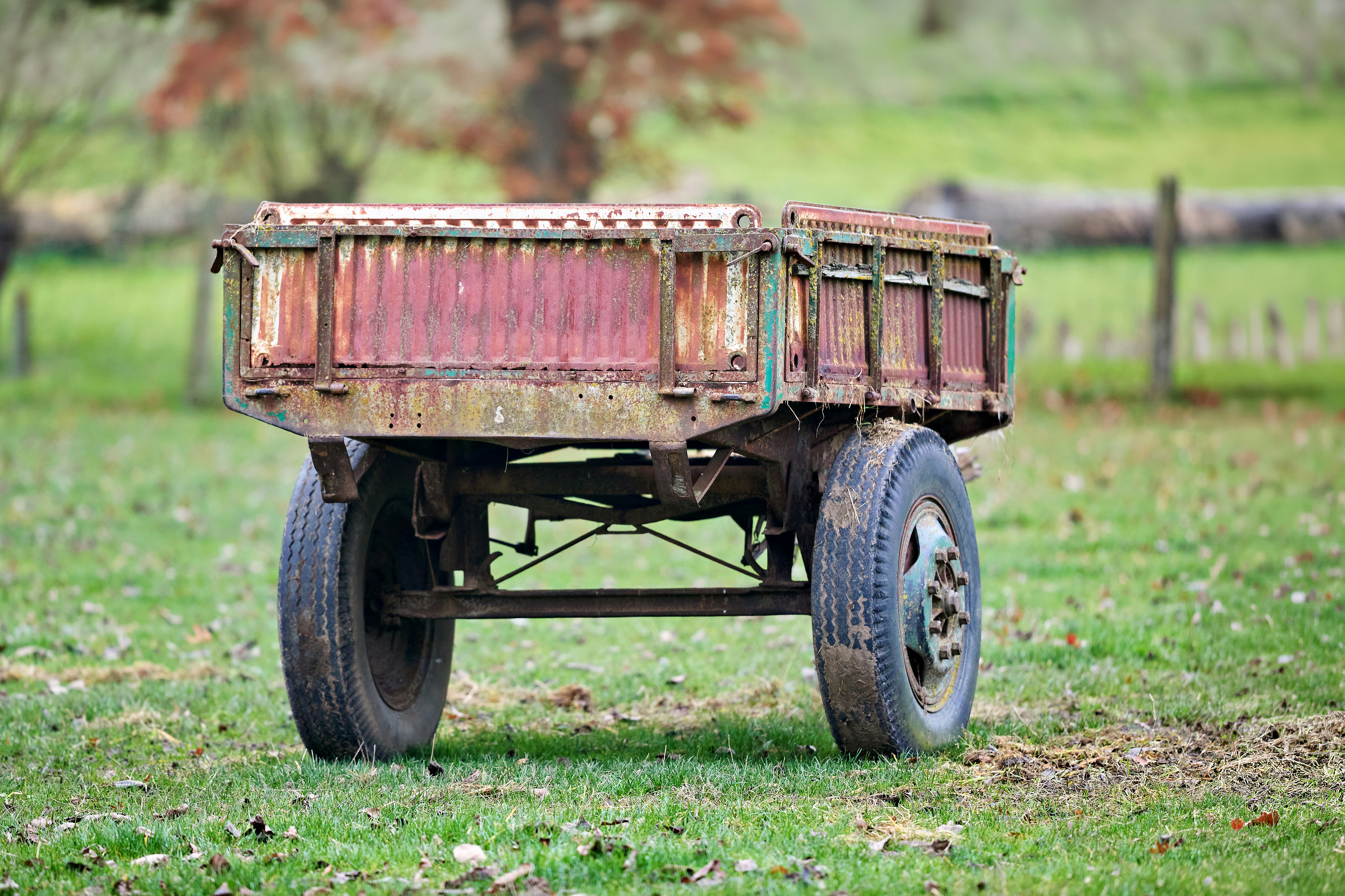 Photo by erwinbosman