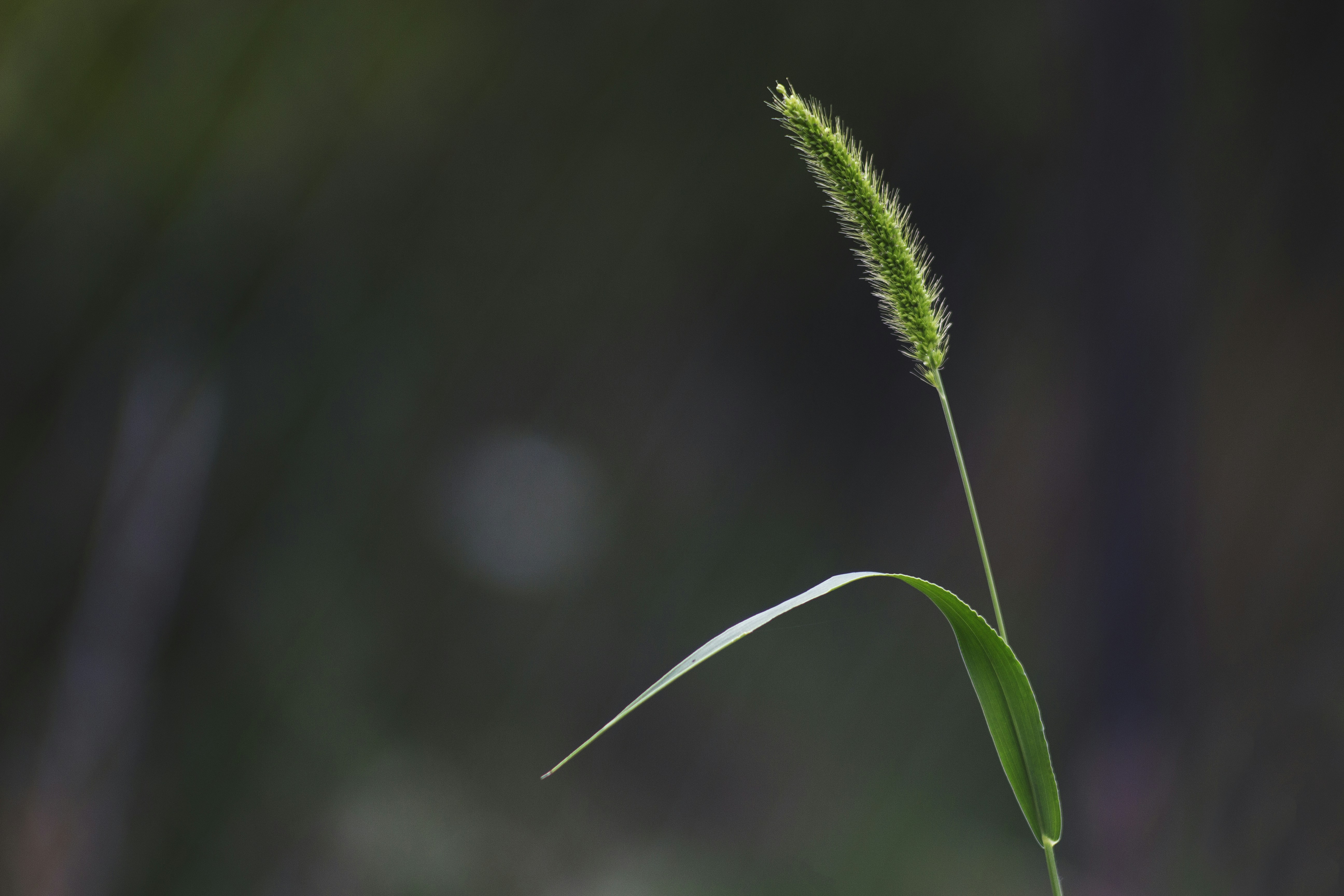 Photo by miloslopusina