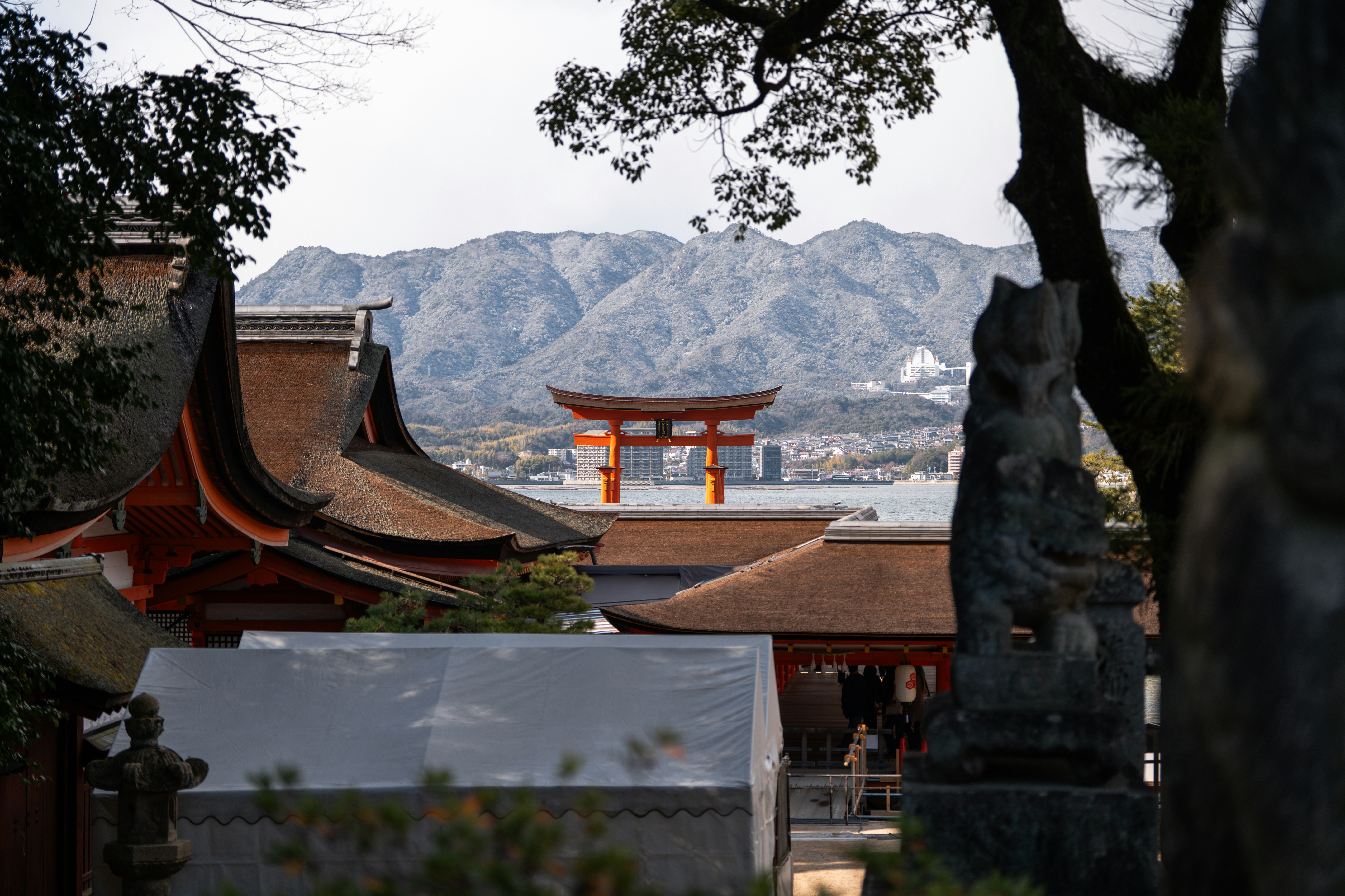 Shrines vs. Temples: The Beginner's Guide to Spiritual Japan