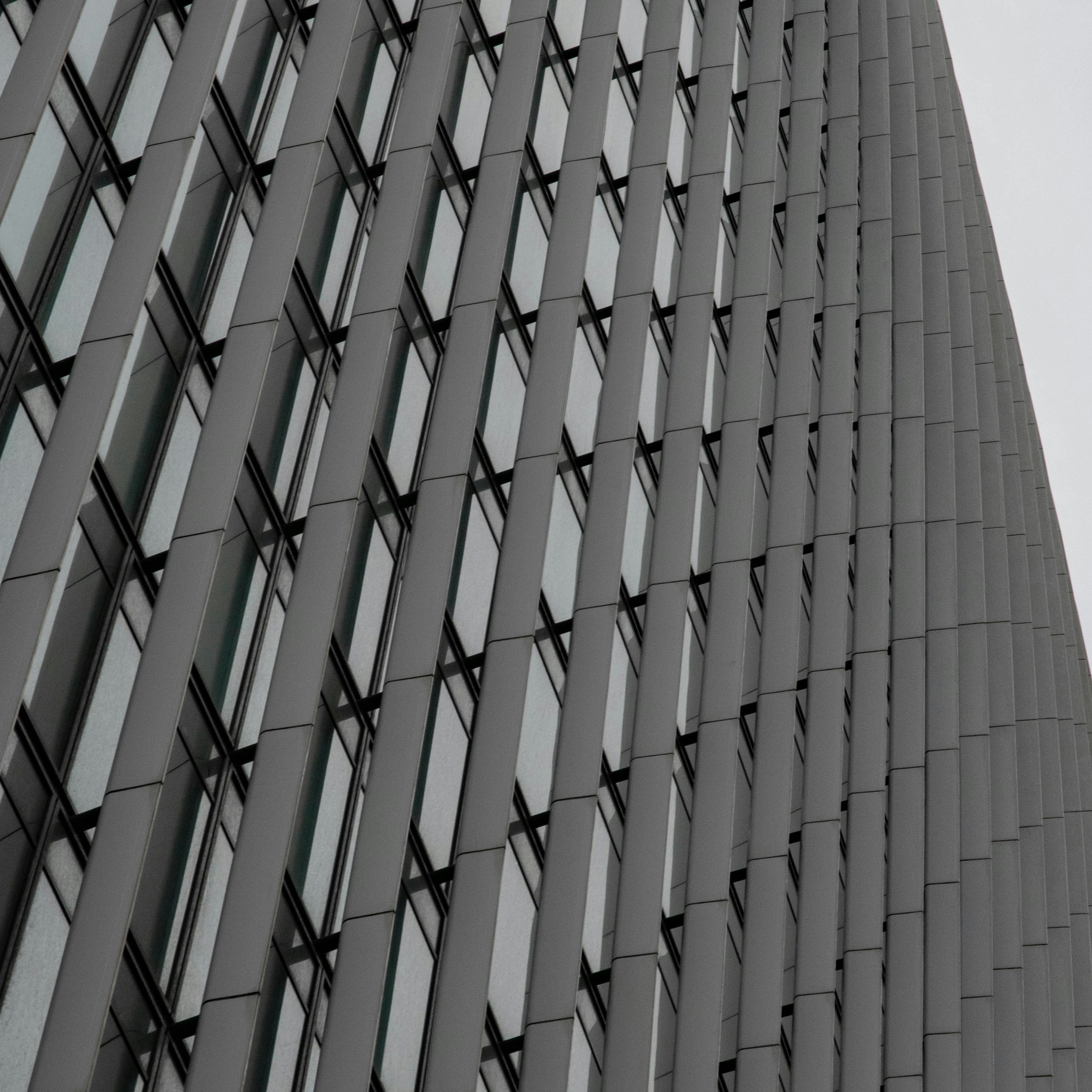 Photo by david_garrick_bangbola