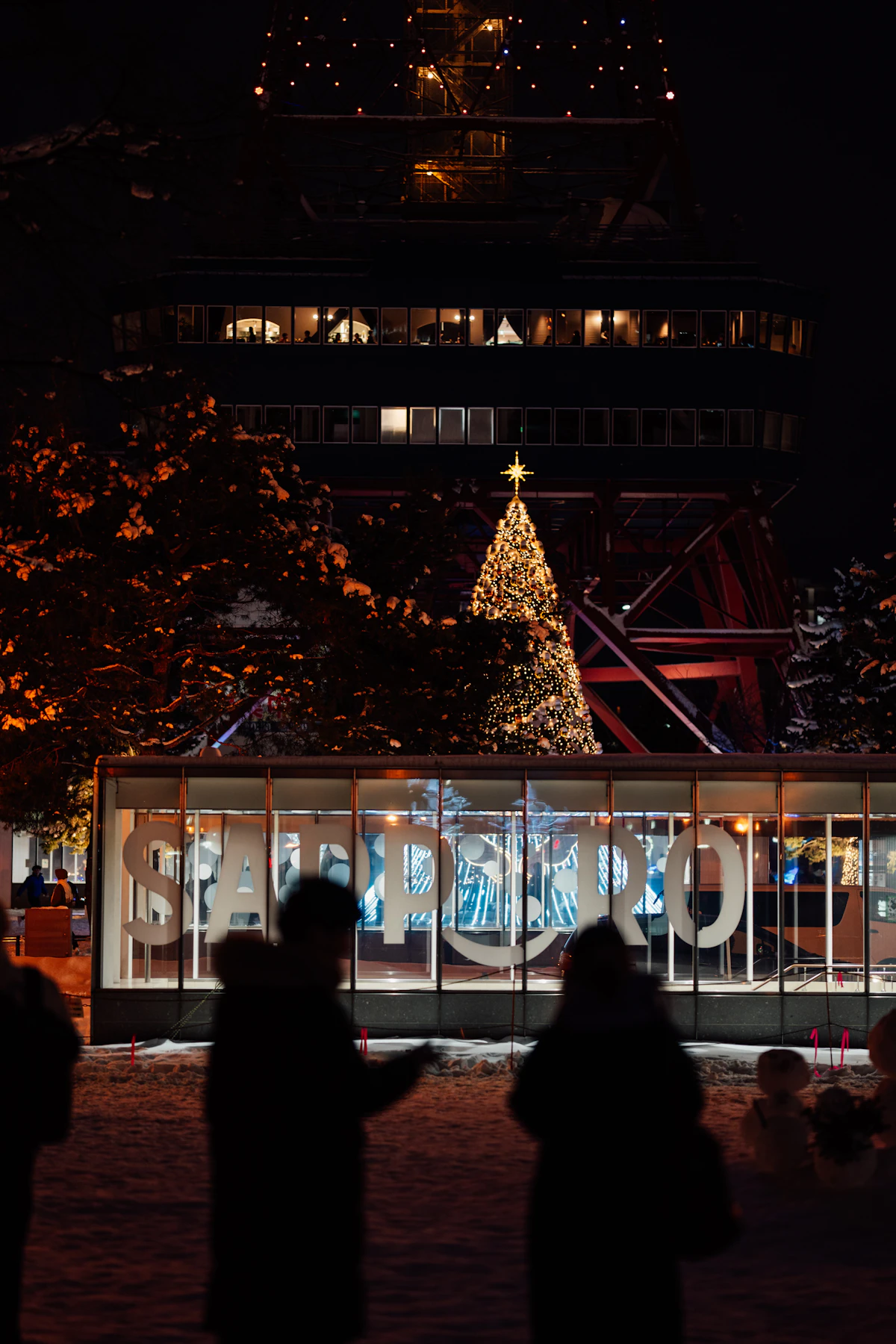 雪の大通公園に立つクリスマスツリーとさっぽろテレビ塔
